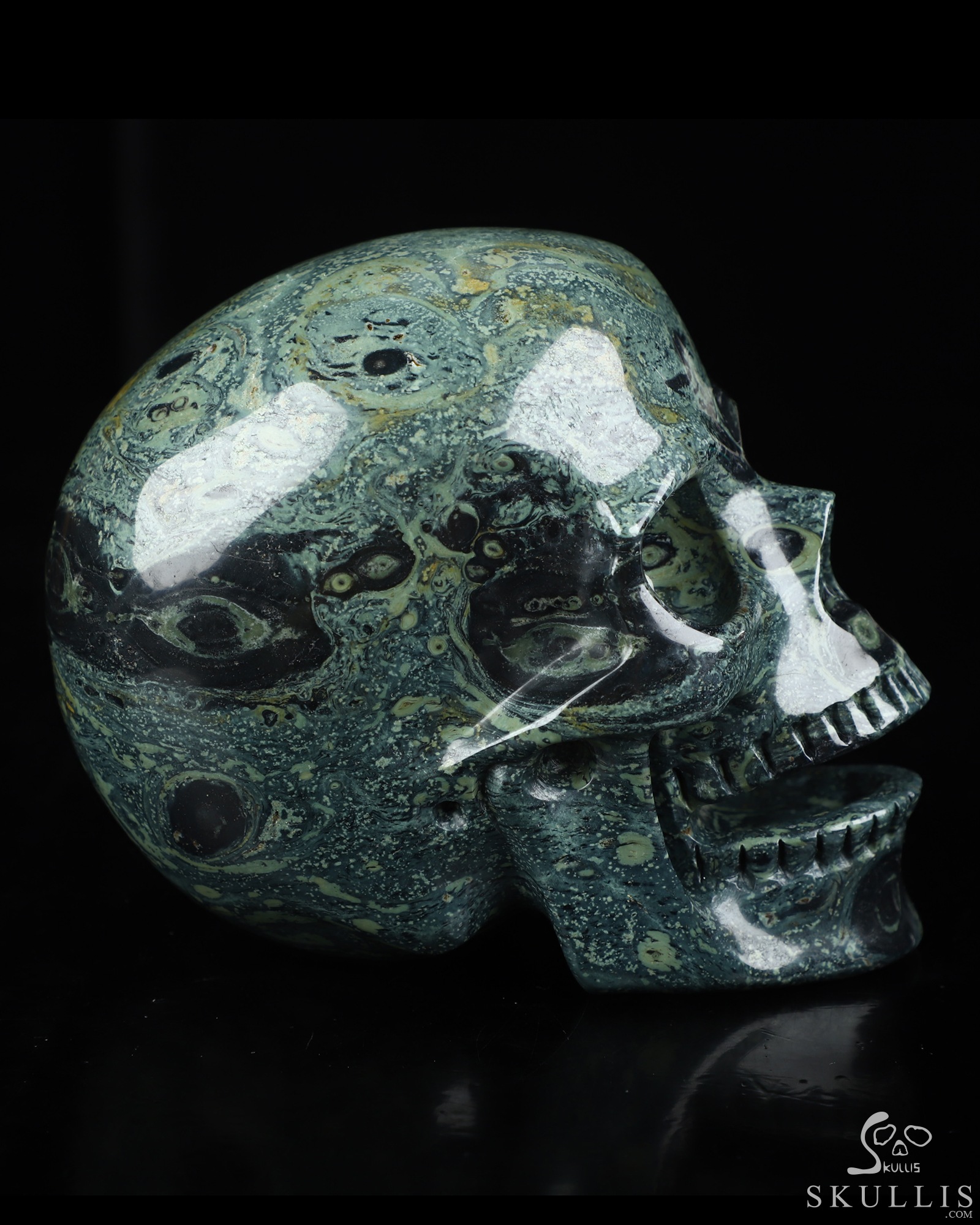 5.0" Kambaba Jasper Hand Carved Singing Crystal Skull Sculpture, Crystal Healing 5.0" Kambaba Jasper Hand Carved Singing Crystal Skull Sculpture, Crystal Healing