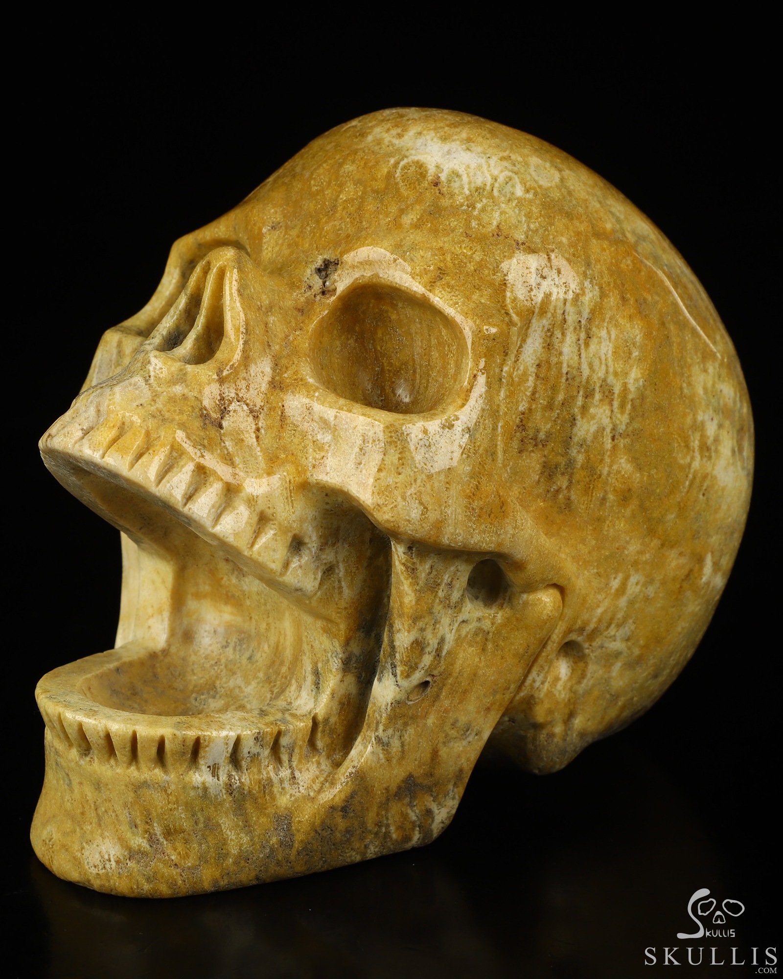 5.2" Coral Fossil Hand Carved Laughing Crystal Skull Sculpture, Crystal Healing 5.2" Coral Fossil Hand Carved Laughing Crystal Skull Sculpture, Crystal Healing