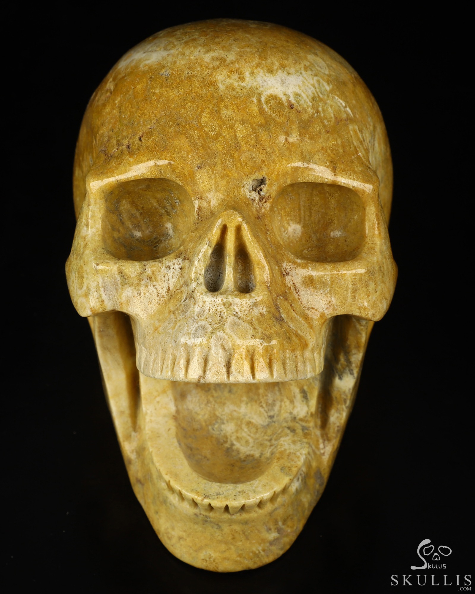5.2" Coral Fossil Hand Carved Laughing Crystal Skull Sculpture, Crystal Healing 5.2" Coral Fossil Hand Carved Laughing Crystal Skull Sculpture, Crystal Healing
