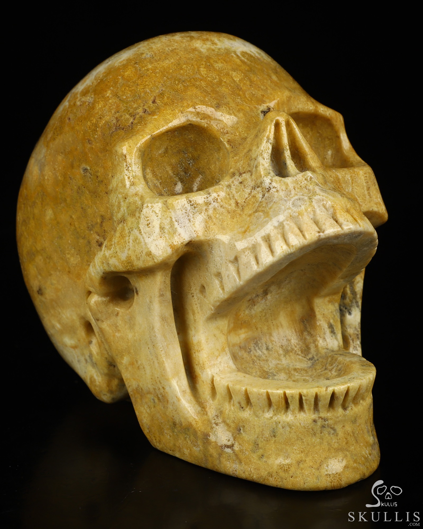 5.2" Coral Fossil Hand Carved Laughing Crystal Skull Sculpture, Crystal Healing 5.2" Coral Fossil Hand Carved Laughing Crystal Skull Sculpture, Crystal Healing