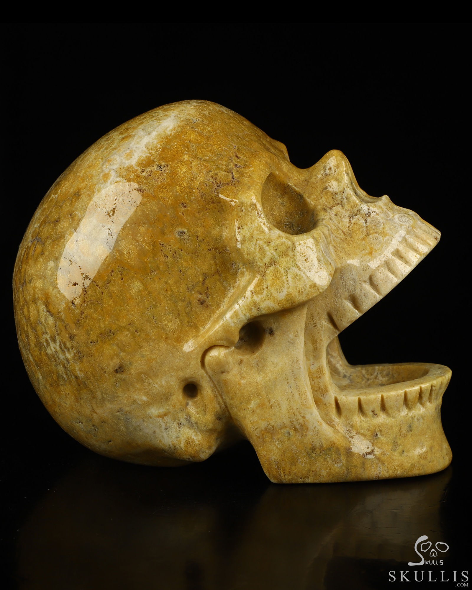 5.2" Coral Fossil Hand Carved Laughing Crystal Skull Sculpture, Crystal Healing 5.2" Coral Fossil Hand Carved Laughing Crystal Skull Sculpture, Crystal Healing