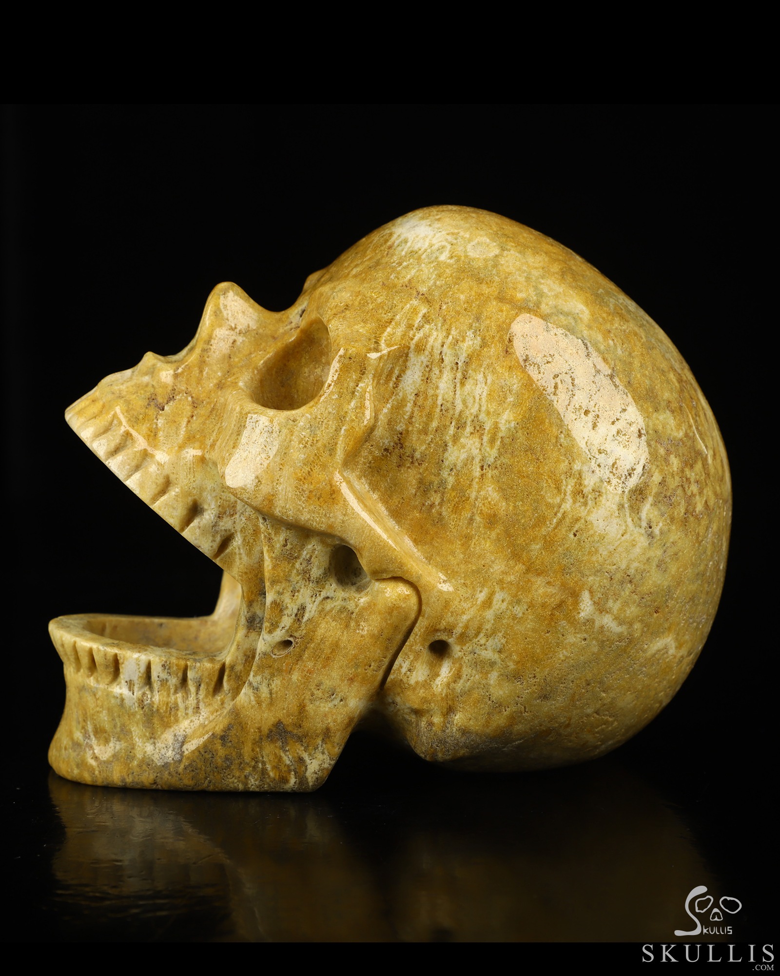 5.2" Coral Fossil Hand Carved Laughing Crystal Skull Sculpture, Crystal Healing 5.2" Coral Fossil Hand Carved Laughing Crystal Skull Sculpture, Crystal Healing