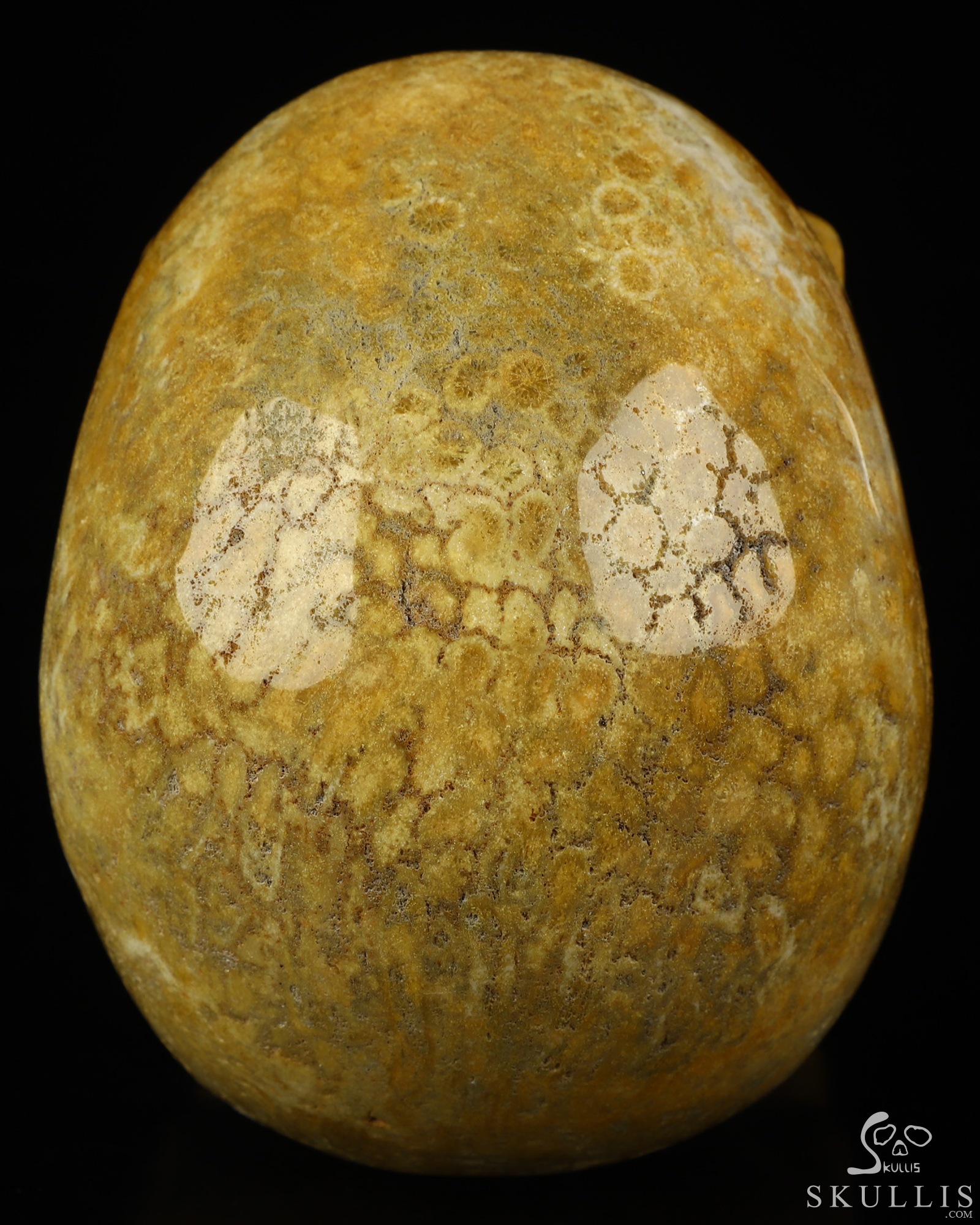 5.2" Coral Fossil Hand Carved Laughing Crystal Skull Sculpture, Crystal Healing 5.2" Coral Fossil Hand Carved Laughing Crystal Skull Sculpture, Crystal Healing
