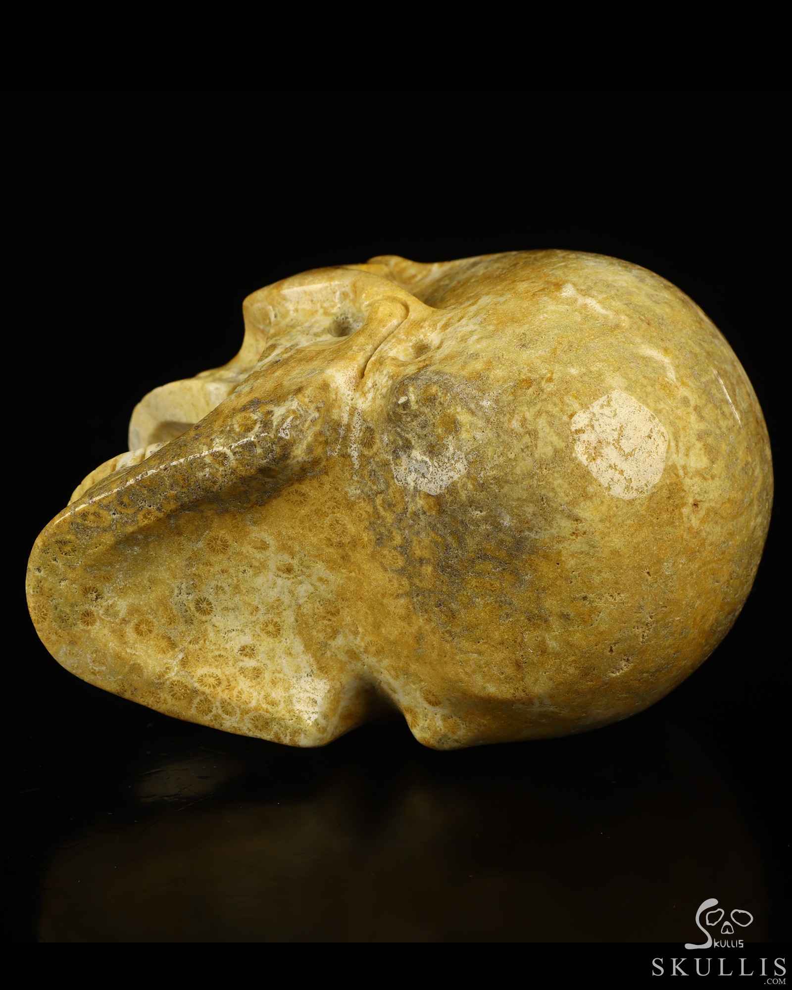 5.2" Coral Fossil Hand Carved Laughing Crystal Skull Sculpture, Crystal Healing 5.2" Coral Fossil Hand Carved Laughing Crystal Skull Sculpture, Crystal Healing
