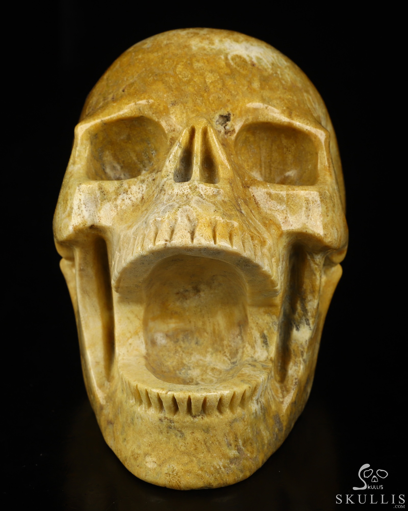 5.2" Coral Fossil Hand Carved Laughing Crystal Skull Sculpture, Crystal Healing 5.2" Coral Fossil Hand Carved Laughing Crystal Skull Sculpture, Crystal Healing