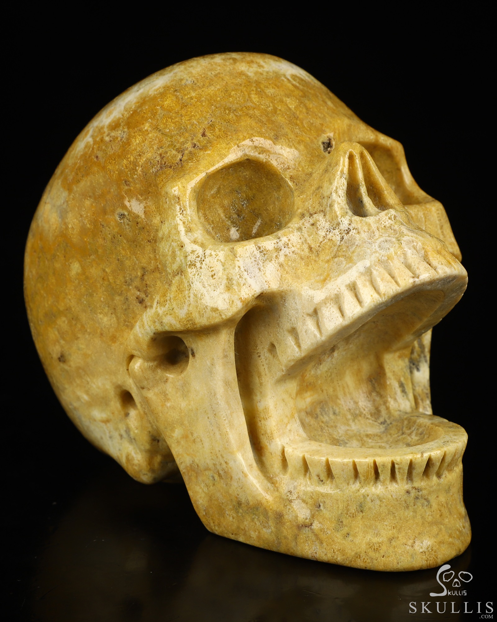 5.2" Coral Fossil Hand Carved Laughing Crystal Skull Sculpture, Crystal Healing 5.2" Coral Fossil Hand Carved Laughing Crystal Skull Sculpture, Crystal Healing