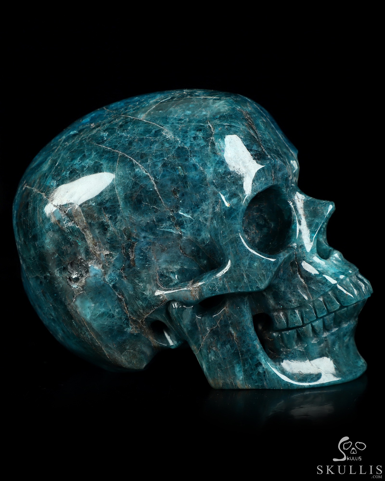 4.6" Blue Apatite Hand Carved Crystal Skull, Super Realistic, Crystal Healing 4.6" Blue Apatite Hand Carved Crystal Skull, Super Realistic, Crystal Healing