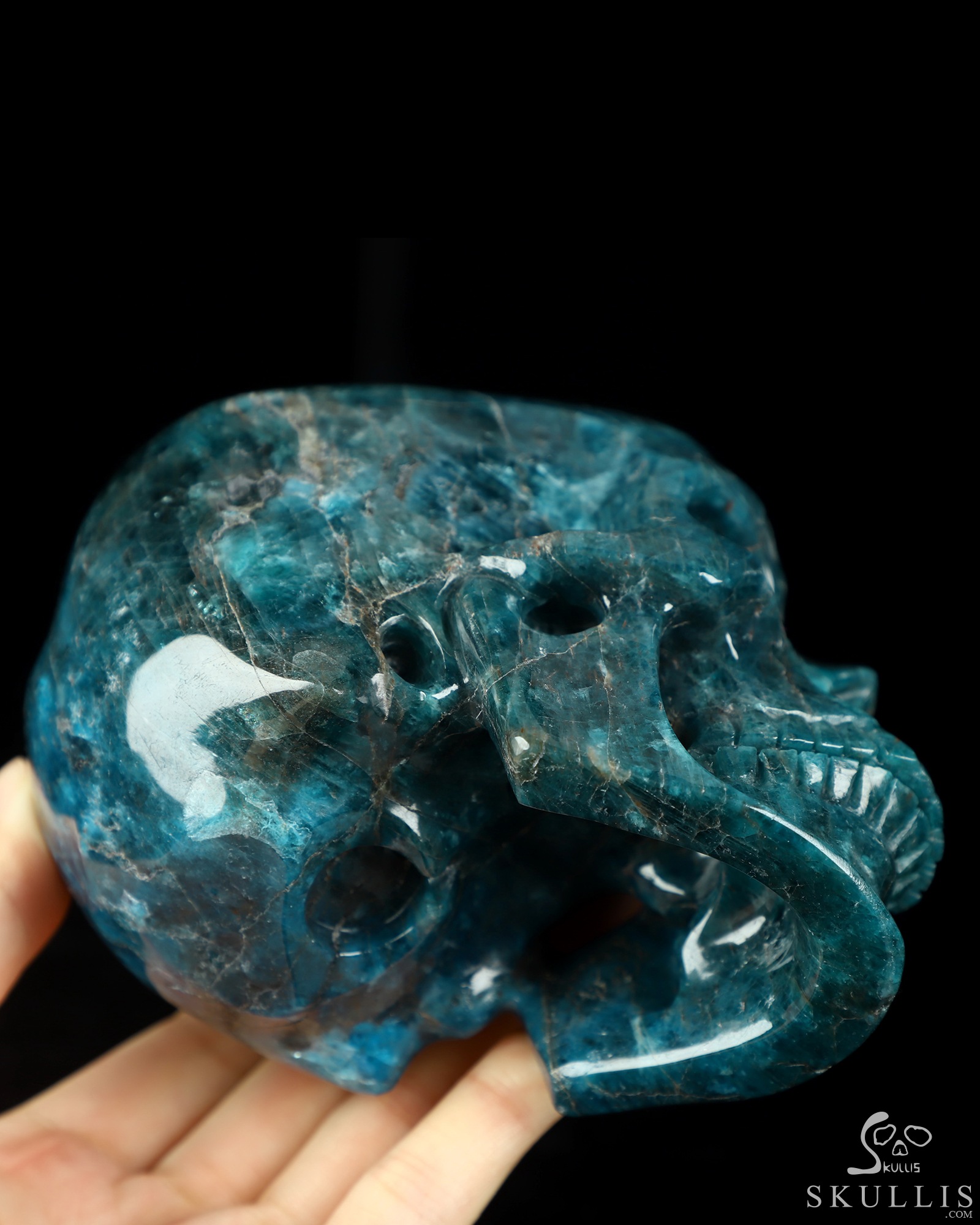4.6" Blue Apatite Hand Carved Crystal Skull, Super Realistic, Crystal Healing 4.6" Blue Apatite Hand Carved Crystal Skull, Super Realistic, Crystal Healing