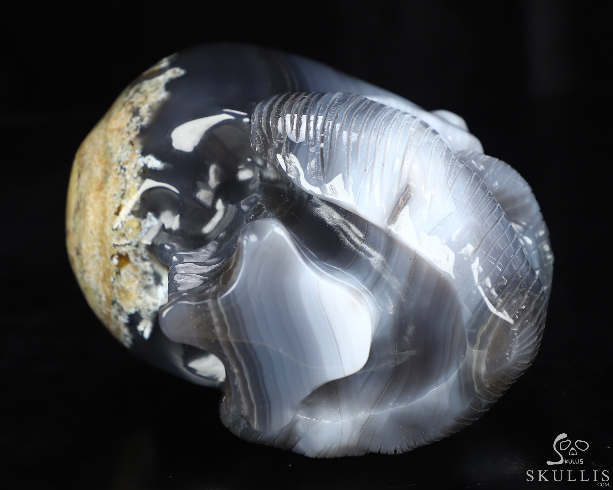 Bearded Skull - 6.1" Gray & White Agate Hand Carved Crystal Skull Fine Art Sculpture, Crystal Healing Bearded Skull - 6.1" Gray & White Agate Hand Carved Crystal Skull Fine Art Sculpture, Crystal Healing