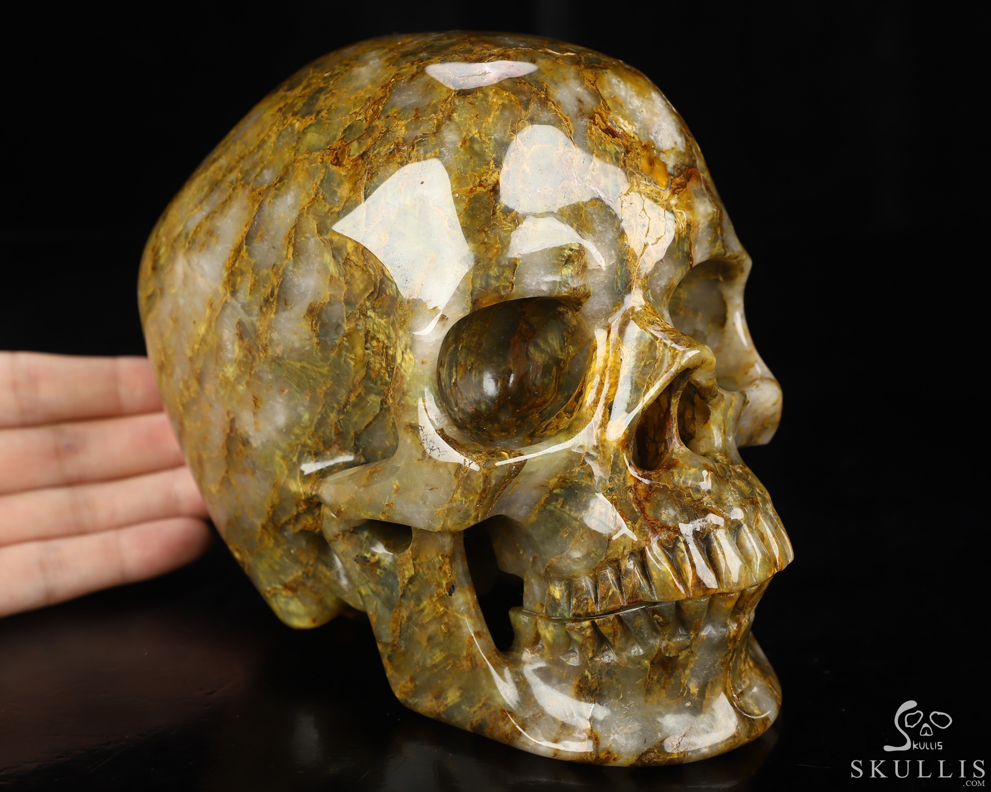 Lifesized 6.4" New Pietersite Hand Carved Crystal Skull, Super Realistic, Crystal Healing Lifesized 6.4" New Pietersite Hand Carved Crystal Skull, Super Realistic, Crystal Healing