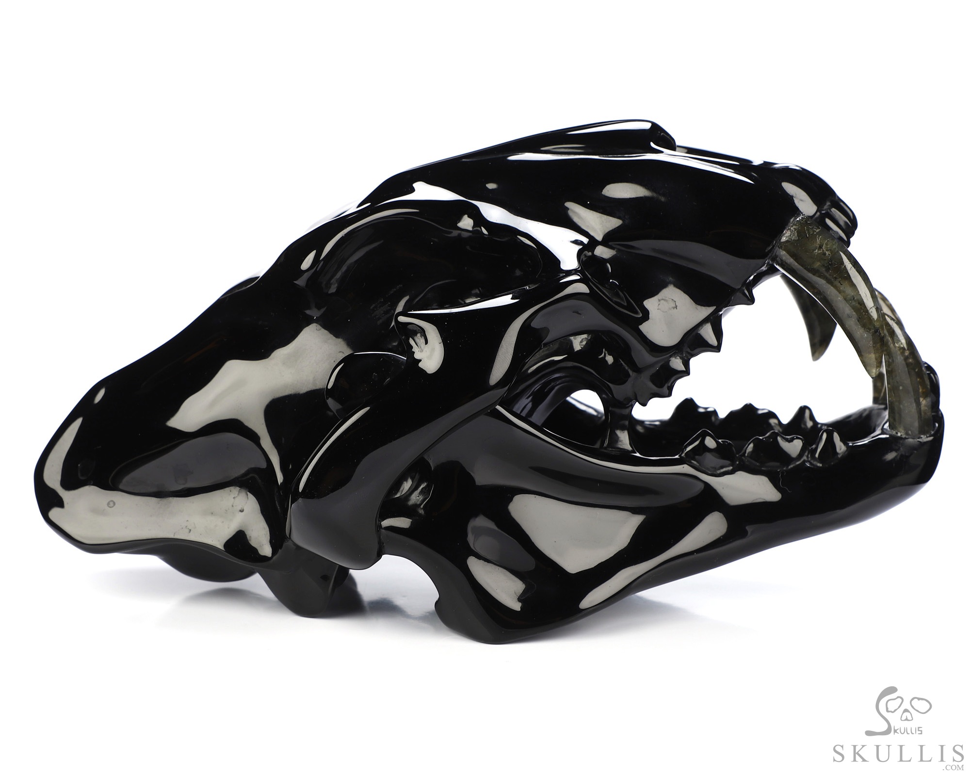 8.3" Black Obsidian Hand Carved Crystal Smilodon SABER-TOOTHED Tiger/Cat Skull and Labradorite Tooth Sculpture 8.3" Black Obsidian Hand Carved Crystal Smilodon SABER-TOOTHED Tiger/Cat Skull and Labradorite Tooth Sculpture
