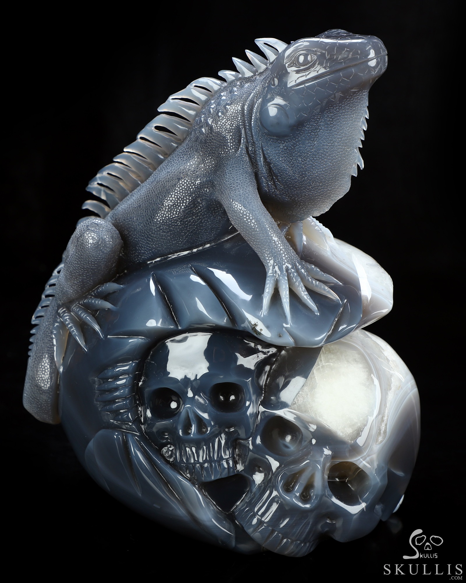 Aug 6, 2026 ACSAD (A Crystal Skull a Day) - Relic of Breath - 7.0" Carved Agate Geode Iguana/Lizard And Crystal Skull Fine Art Sculpture, Crystal Healing Aug 6, 2026 ACSAD (A Crystal Skull a Day) - Relic of Breath - 7.0" Carved Agate Geode Iguana/Lizard And Crystal Skull Fine Art Sculpture, Crystal Healing