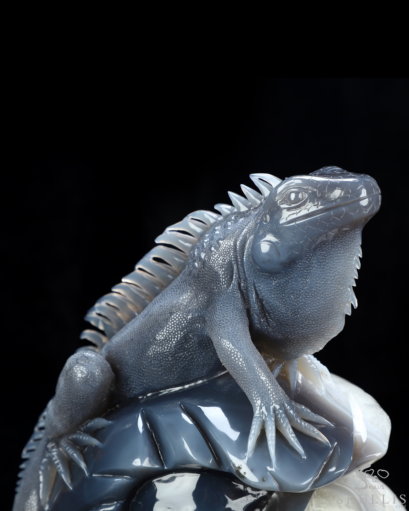 Aug 6, 2026 ACSAD (A Crystal Skull a Day) - Relic of Breath - 7.0" Carved Agate Geode Iguana/Lizard And Crystal Skull Fine Art Sculpture, Crystal Healing Aug 6, 2026 ACSAD (A Crystal Skull a Day) - Relic of Breath - 7.0" Carved Agate Geode Iguana/Lizard And Crystal Skull Fine Art Sculpture, Crystal Healing