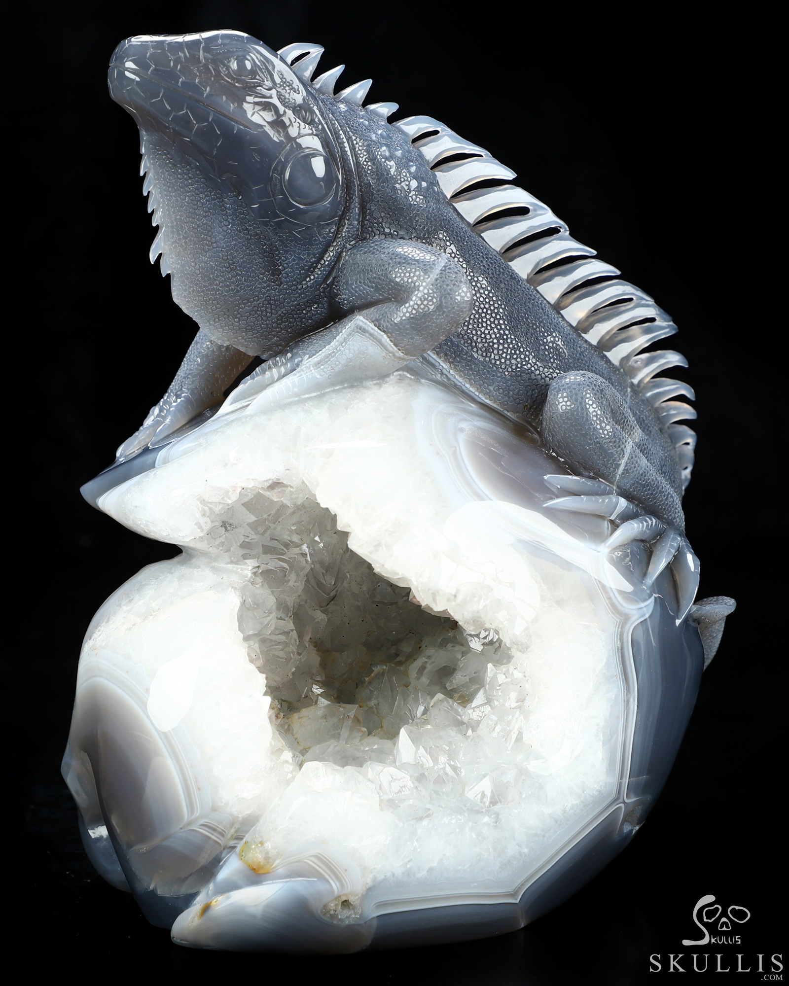Aug 6, 2026 ACSAD (A Crystal Skull a Day) - Relic of Breath - 7.0" Carved Agate Geode Iguana/Lizard And Crystal Skull Fine Art Sculpture, Crystal Healing Aug 6, 2026 ACSAD (A Crystal Skull a Day) - Relic of Breath - 7.0" Carved Agate Geode Iguana/Lizard And Crystal Skull Fine Art Sculpture, Crystal Healing