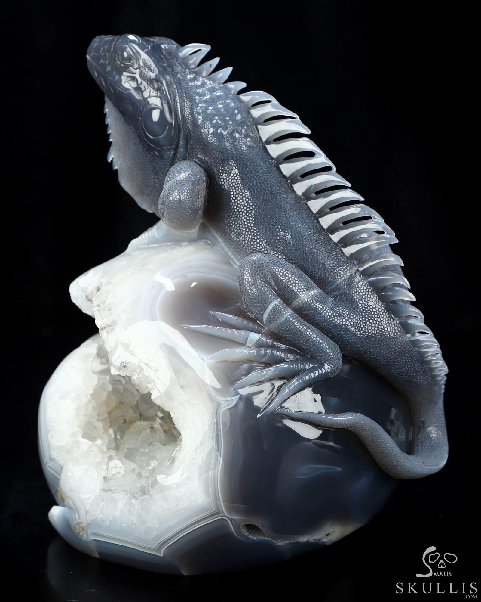 Aug 6, 2026 ACSAD (A Crystal Skull a Day) - Relic of Breath - 7.0" Carved Agate Geode Iguana/Lizard And Crystal Skull Fine Art Sculpture, Crystal Healing Aug 6, 2026 ACSAD (A Crystal Skull a Day) - Relic of Breath - 7.0" Carved Agate Geode Iguana/Lizard And Crystal Skull Fine Art Sculpture, Crystal Healing