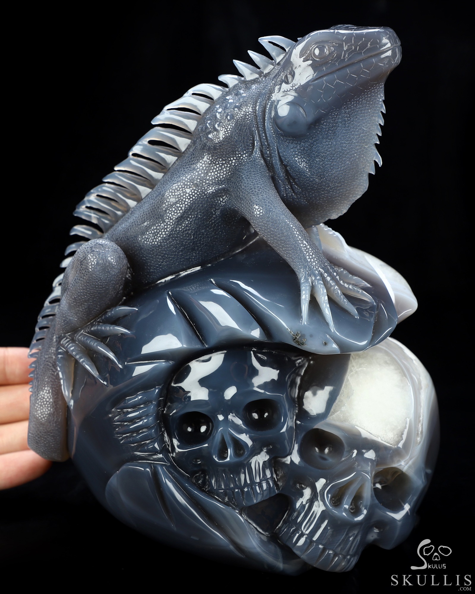 Aug 6, 2026 ACSAD (A Crystal Skull a Day) - Relic of Breath - 7.0" Carved Agate Geode Iguana/Lizard And Crystal Skull Fine Art Sculpture, Crystal Healing Aug 6, 2026 ACSAD (A Crystal Skull a Day) - Relic of Breath - 7.0" Carved Agate Geode Iguana/Lizard And Crystal Skull Fine Art Sculpture, Crystal Healing