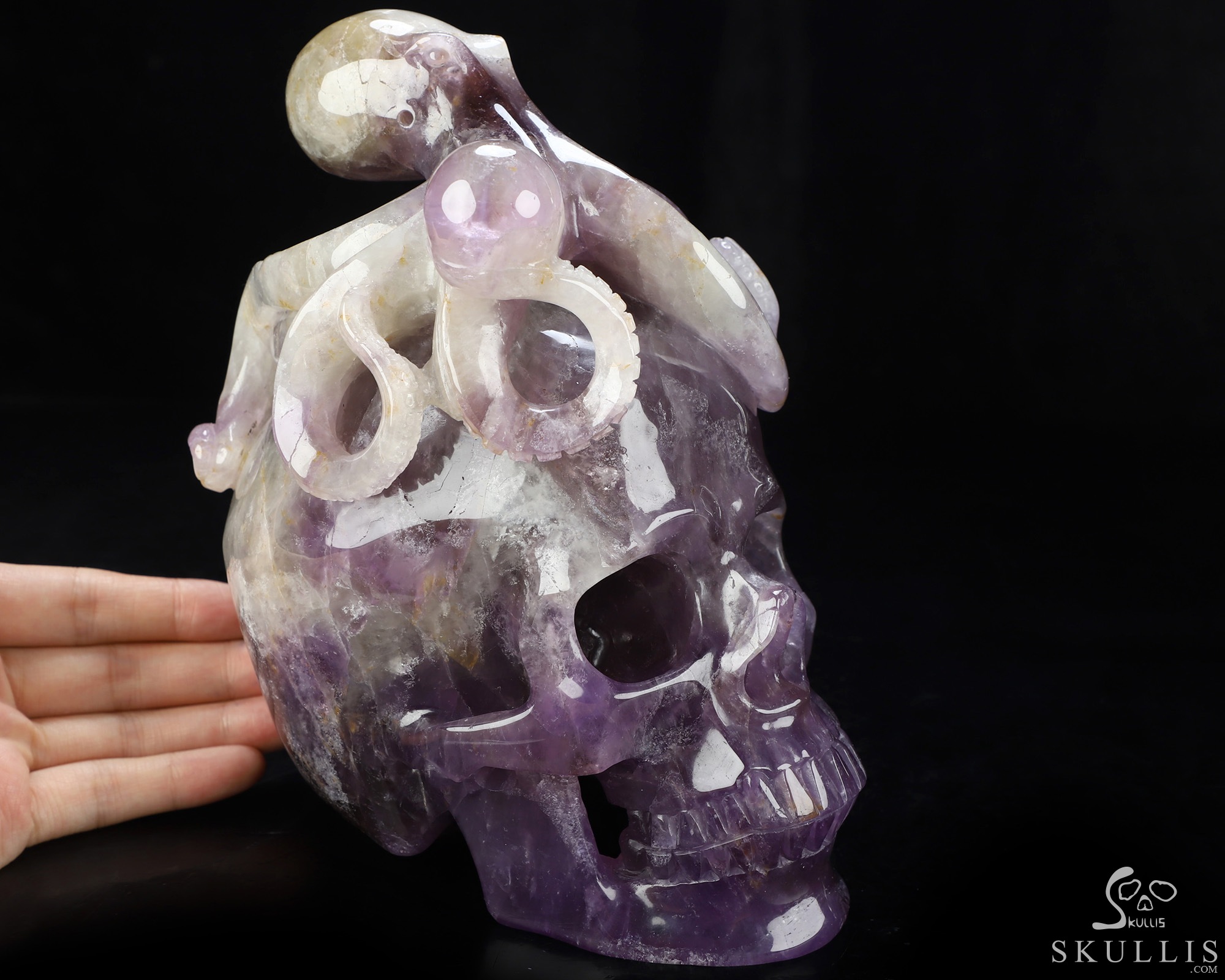 7.2" Amethyst Hand Carved Crystal Skull and Octopus Fine Art Sculpture, Crystal Healing 7.2" Amethyst Hand Carved Crystal Skull and Octopus Fine Art Sculpture, Crystal Healing