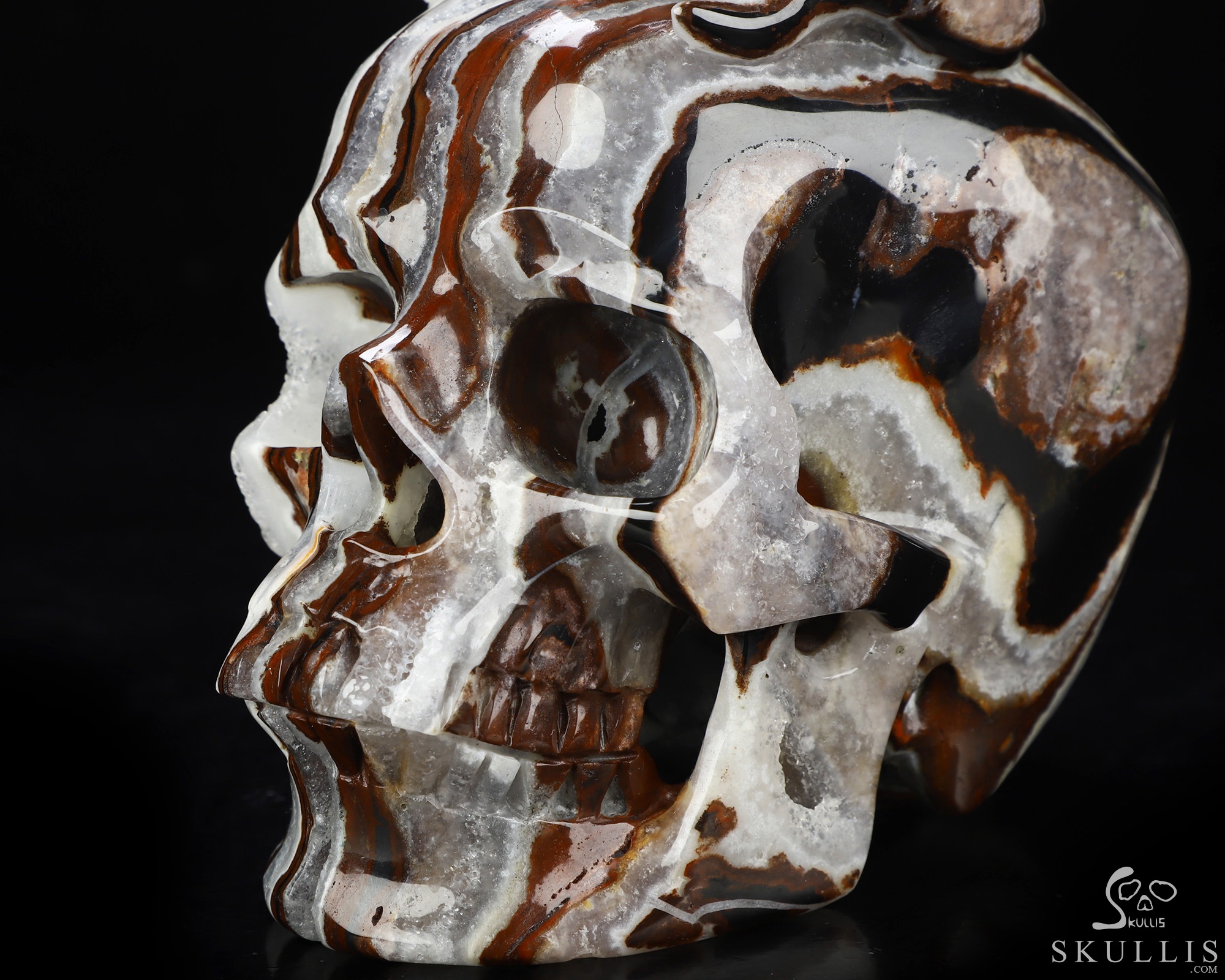 June 12, 2026 ACSAD (A Crystal Skull a Day) - The Mortal Coil - 9.3" Carved Black Zebra Agate Nine-Tailed Fox Crystal Skull Sculpture, Crystal Healing June 12, 2026 ACSAD (A Crystal Skull a Day) - The Mortal Coil - 9.3" Carved Black Zebra Agate Nine-Tailed Fox Crystal Skull Sculpture, Crystal Healing