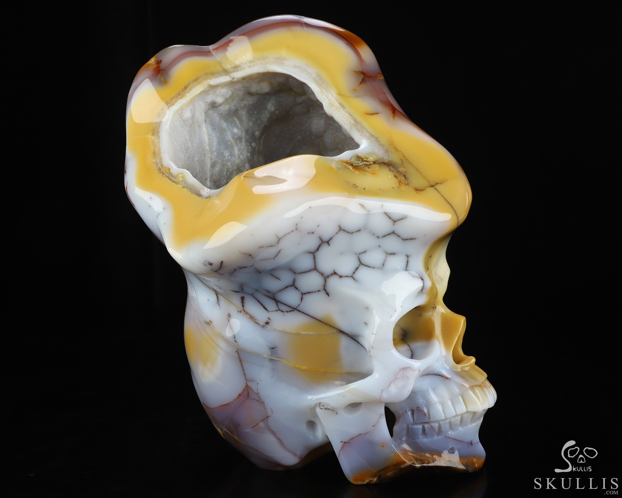 June 18, 2026 ACSAD (A Crystal Skull a Day) - The Open Mind - 8.3" Blue Chalcedony Carved Crystal Skull With Geode Fine Art Sculpture, Crystal Healing June 18, 2026 ACSAD (A Crystal Skull a Day) - The Open Mind - 8.3" Blue Chalcedony Carved Crystal Skull With Geode Fine Art Sculpture, Crystal Healing