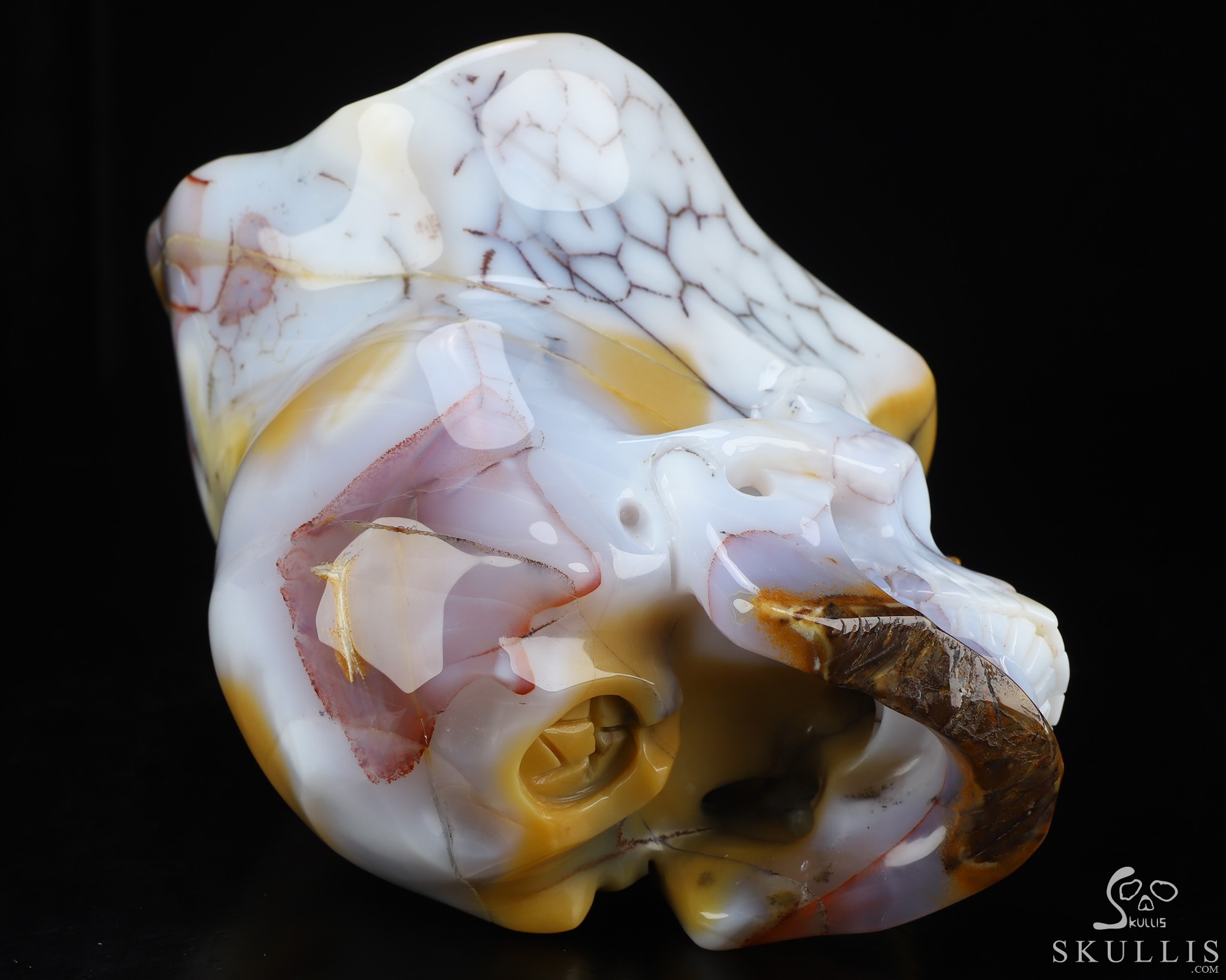 June 18, 2026 ACSAD (A Crystal Skull a Day) - The Open Mind - 8.3" Blue Chalcedony Carved Crystal Skull With Geode Fine Art Sculpture, Crystal Healing June 18, 2026 ACSAD (A Crystal Skull a Day) - The Open Mind - 8.3" Blue Chalcedony Carved Crystal Skull With Geode Fine Art Sculpture, Crystal Healing