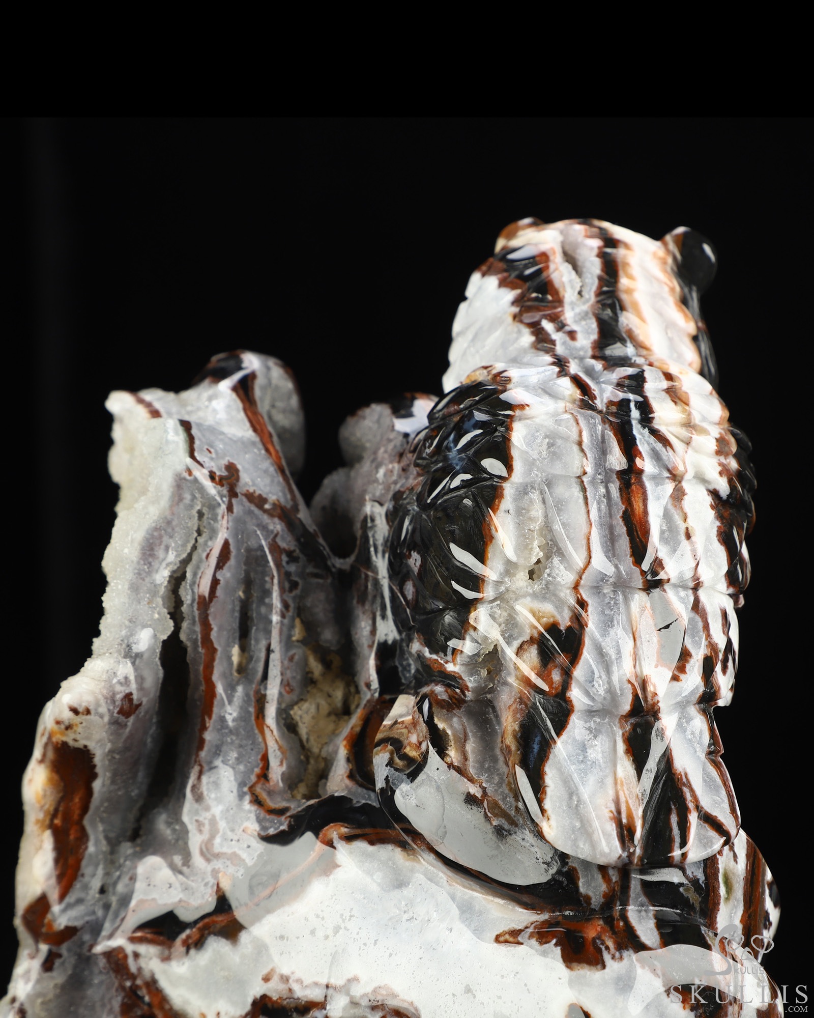8.7" Black Zebra Agate Hand Carved Crystal Skull and Owl Fine Art Sculpture, Crystal Healing 8.7" Black Zebra Agate Hand Carved Crystal Skull and Owl Fine Art Sculpture, Crystal Healing