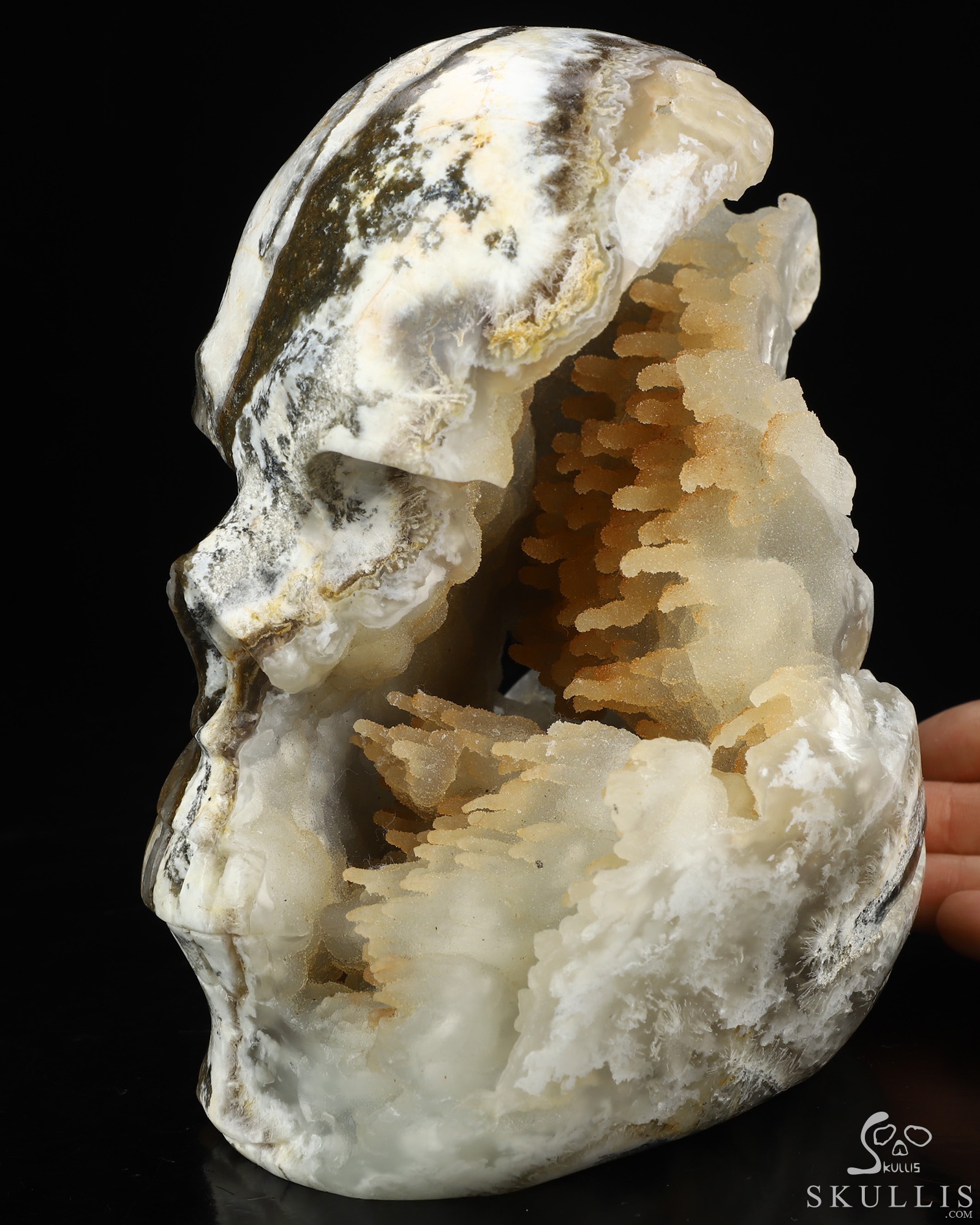 Aug 18, 2026 ACSAD (A Crystal Skull a Day) - The Living Cave - 6.6" Agate Geode Hand Carved Crystal Skull Fine Art Sculpture, Crystal Healing Aug 18, 2026 ACSAD (A Crystal Skull a Day) - The Living Cave - 6.6" Agate Geode Hand Carved Crystal Skull Fine Art Sculpture, Crystal Healing