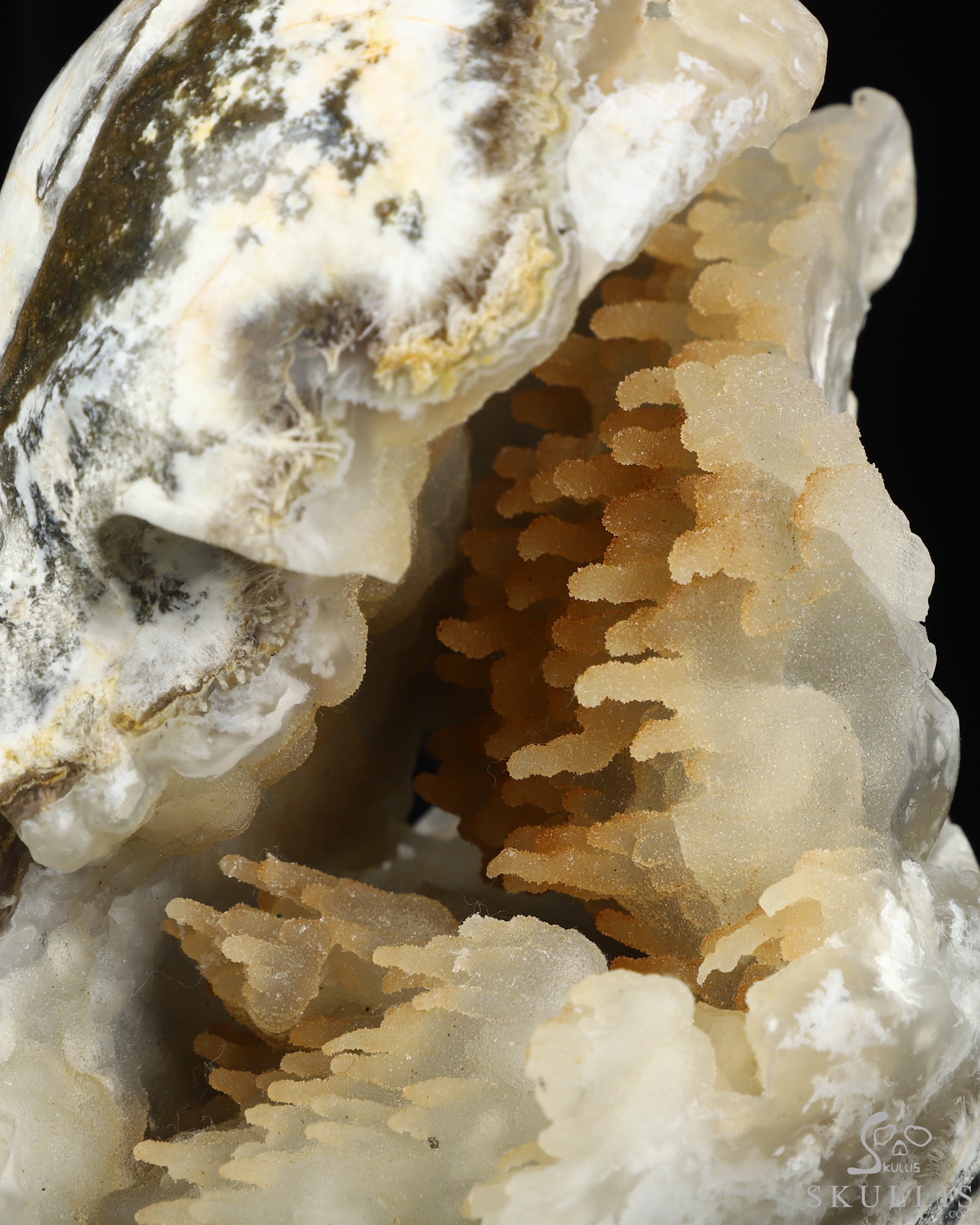 Aug 18, 2026 ACSAD (A Crystal Skull a Day) - The Living Cave - 6.6" Agate Geode Hand Carved Crystal Skull Fine Art Sculpture, Crystal Healing Aug 18, 2026 ACSAD (A Crystal Skull a Day) - The Living Cave - 6.6" Agate Geode Hand Carved Crystal Skull Fine Art Sculpture, Crystal Healing