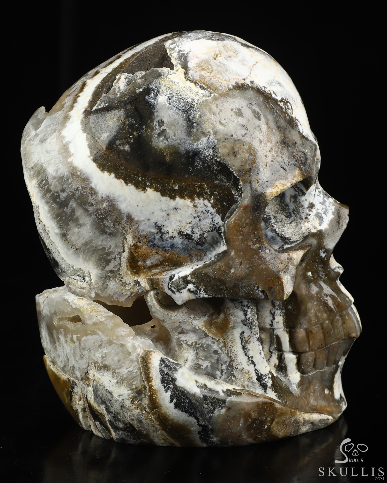 Aug 18, 2026 ACSAD (A Crystal Skull a Day) - The Living Cave - 6.6" Agate Geode Hand Carved Crystal Skull Fine Art Sculpture, Crystal Healing Aug 18, 2026 ACSAD (A Crystal Skull a Day) - The Living Cave - 6.6" Agate Geode Hand Carved Crystal Skull Fine Art Sculpture, Crystal Healing