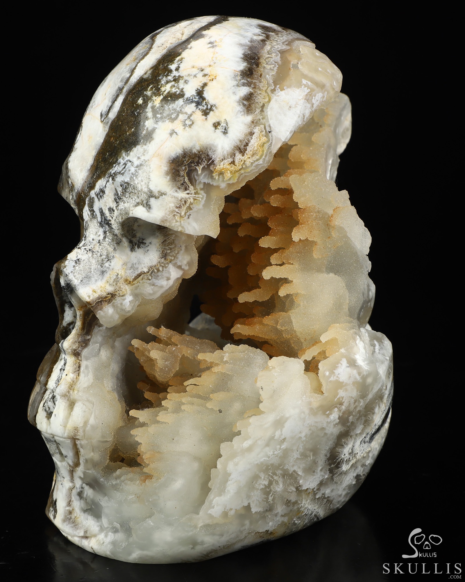 Aug 18, 2026 ACSAD (A Crystal Skull a Day) - The Living Cave - 6.6" Agate Geode Hand Carved Crystal Skull Fine Art Sculpture, Crystal Healing Aug 18, 2026 ACSAD (A Crystal Skull a Day) - The Living Cave - 6.6" Agate Geode Hand Carved Crystal Skull Fine Art Sculpture, Crystal Healing
