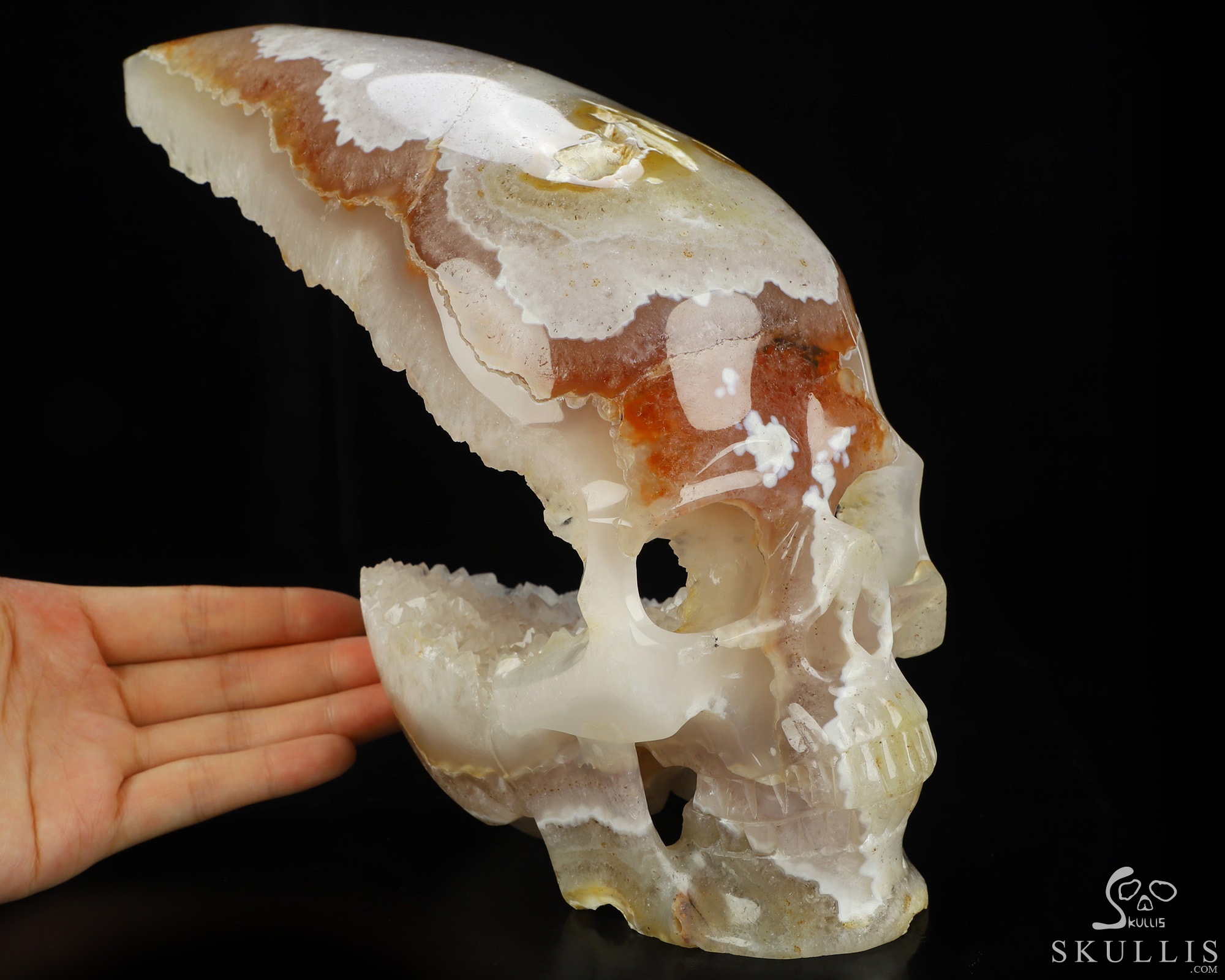 July 6, 2026 ACSAD (A Crystal Skull a Day) - Where Spring Dreams - 9.1" Carved Druzy Sakura Agate Geode Crystal Skull Fine Art Sculpture, Crystal Healing July 6, 2026 ACSAD (A Crystal Skull a Day) - Where Spring Dreams - 9.1" Carved Druzy Sakura Agate Geode Crystal Skull Fine Art Sculpture, Crystal Healing