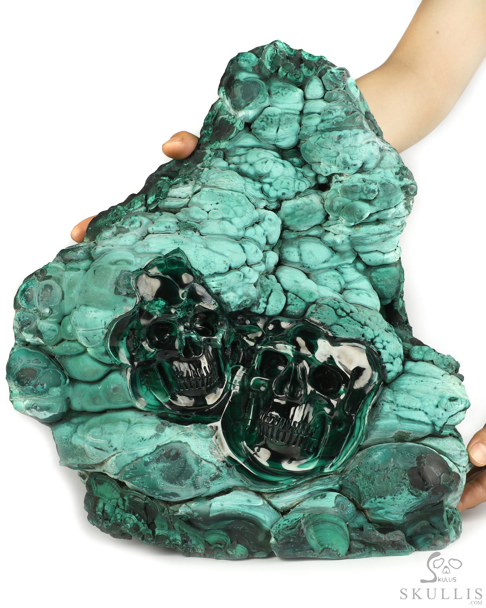 July 30, 2026 ACSAD (A Crystal Skull a Day) - The Twin Shadows of Cocytus - Gemstone 13.9" Malachite Carved Crystal Skull Fine Art Sculpture, Crystal Healing July 30, 2026 ACSAD (A Crystal Skull a Day) - The Twin Shadows of Cocytus - Gemstone 13.9" Malachite Carved Crystal Skull Fine Art Sculpture, Crystal Healing