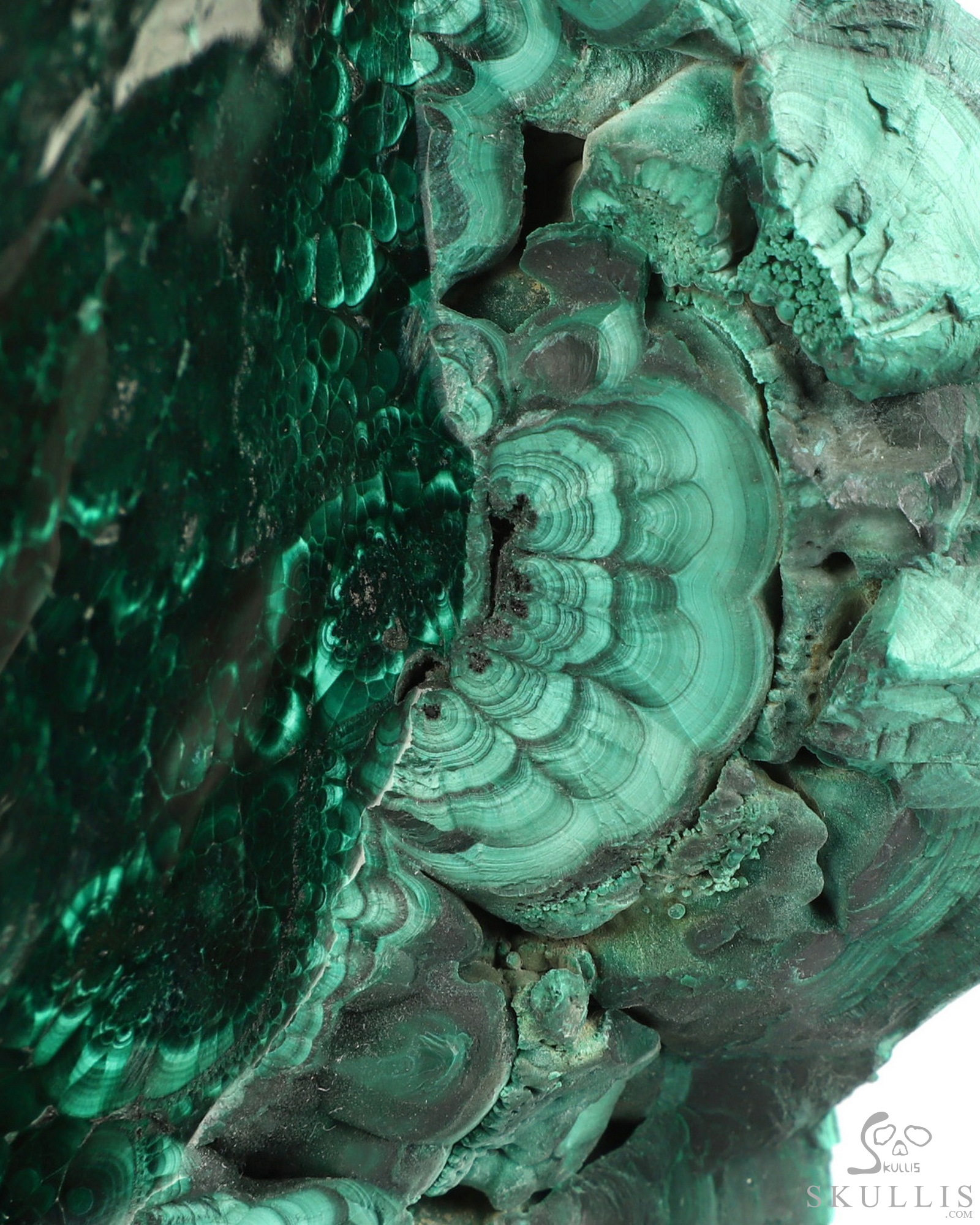 July 30, 2026 ACSAD (A Crystal Skull a Day) - The Twin Shadows of Cocytus - Gemstone 13.9" Malachite Carved Crystal Skull Fine Art Sculpture, Crystal Healing July 30, 2026 ACSAD (A Crystal Skull a Day) - The Twin Shadows of Cocytus - Gemstone 13.9" Malachite Carved Crystal Skull Fine Art Sculpture, Crystal Healing