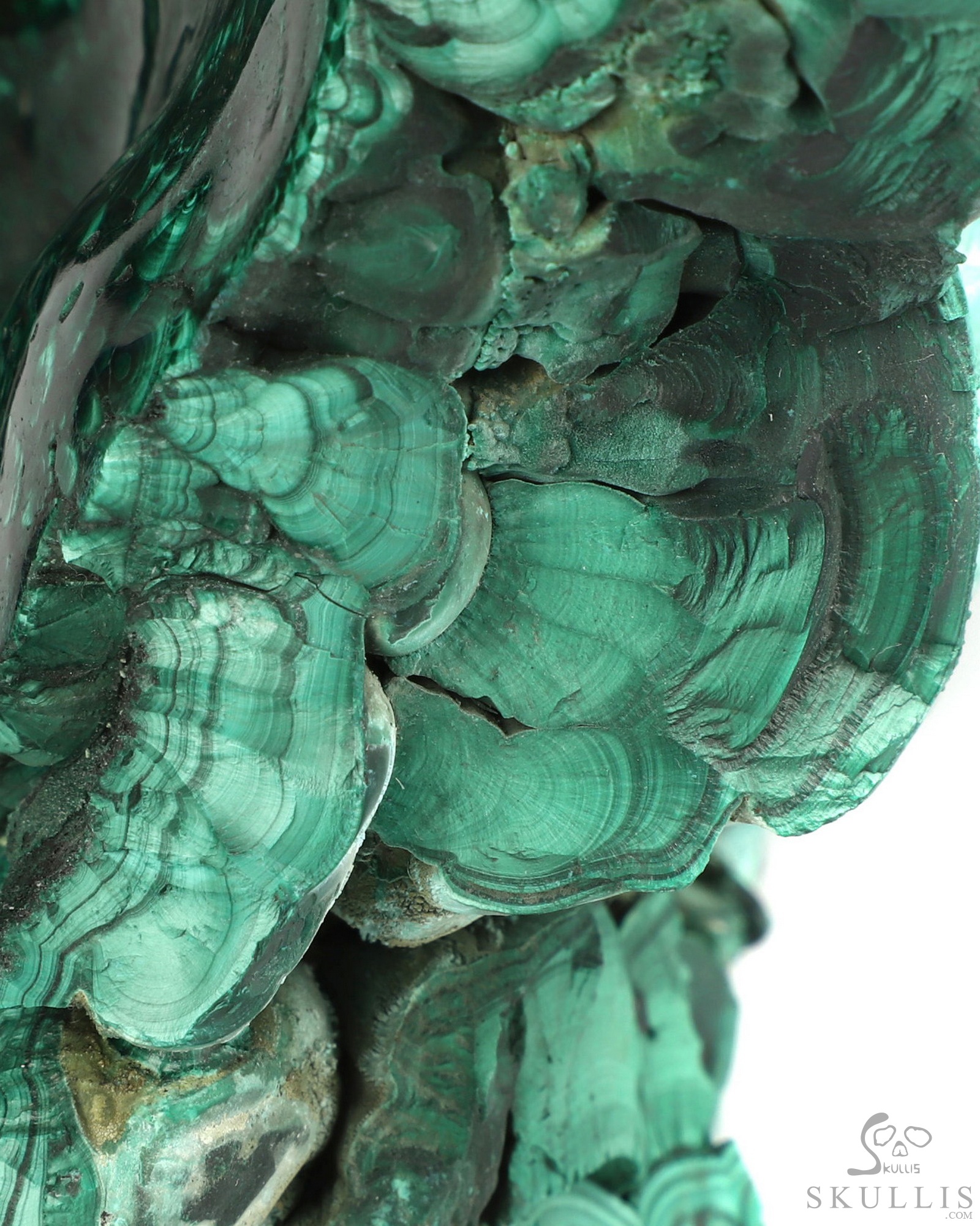 July 30, 2026 ACSAD (A Crystal Skull a Day) - The Twin Shadows of Cocytus - Gemstone 13.9" Malachite Carved Crystal Skull Fine Art Sculpture, Crystal Healing July 30, 2026 ACSAD (A Crystal Skull a Day) - The Twin Shadows of Cocytus - Gemstone 13.9" Malachite Carved Crystal Skull Fine Art Sculpture, Crystal Healing