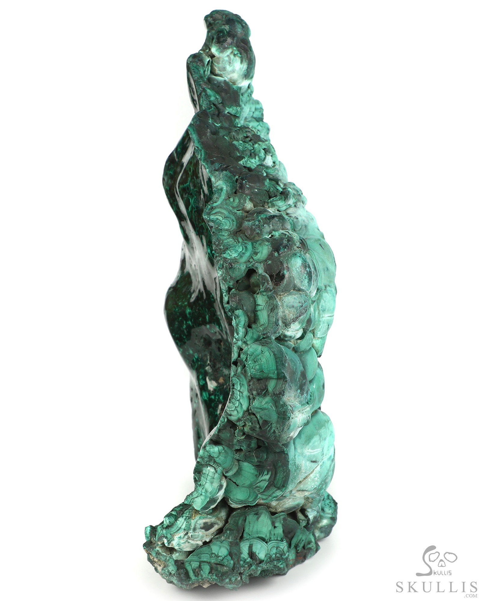 July 30, 2026 ACSAD (A Crystal Skull a Day) - The Twin Shadows of Cocytus - Gemstone 13.9" Malachite Carved Crystal Skull Fine Art Sculpture, Crystal Healing July 30, 2026 ACSAD (A Crystal Skull a Day) - The Twin Shadows of Cocytus - Gemstone 13.9" Malachite Carved Crystal Skull Fine Art Sculpture, Crystal Healing