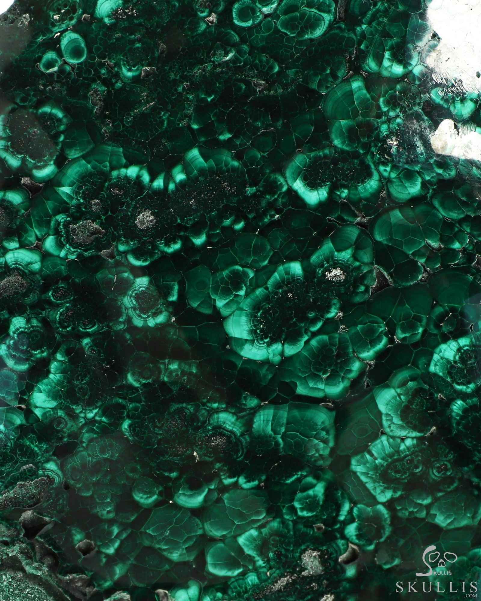 July 30, 2026 ACSAD (A Crystal Skull a Day) - The Twin Shadows of Cocytus - Gemstone 13.9" Malachite Carved Crystal Skull Fine Art Sculpture, Crystal Healing July 30, 2026 ACSAD (A Crystal Skull a Day) - The Twin Shadows of Cocytus - Gemstone 13.9" Malachite Carved Crystal Skull Fine Art Sculpture, Crystal Healing