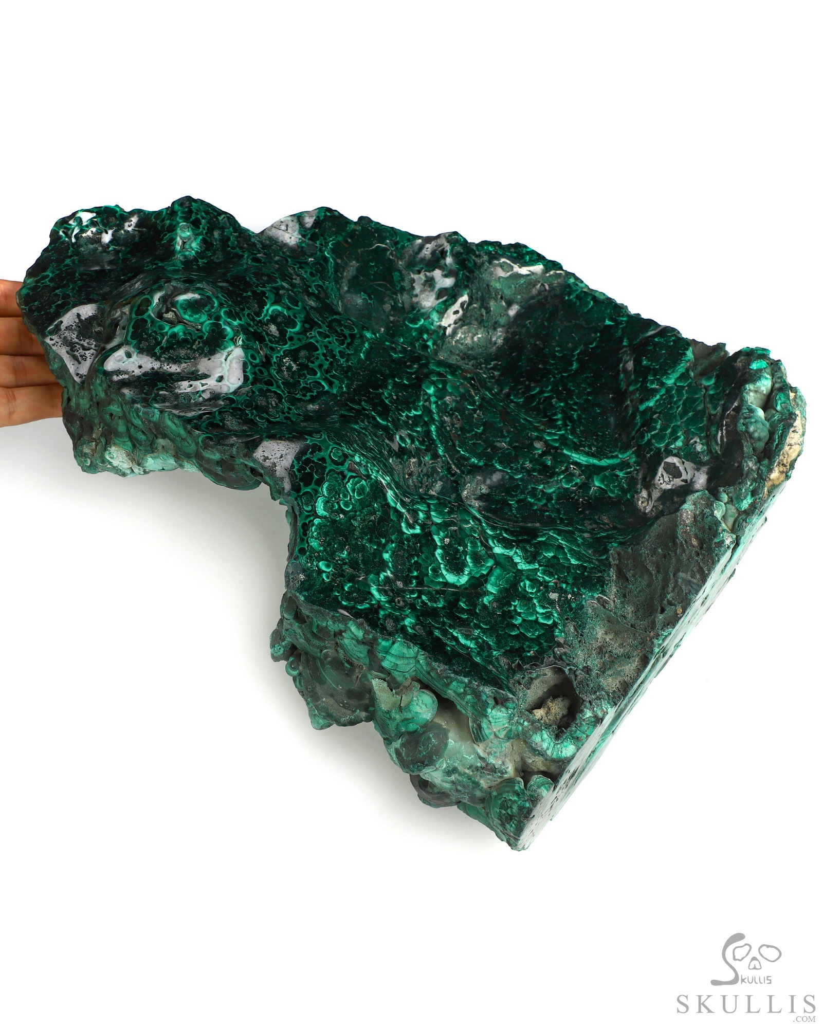 July 30, 2026 ACSAD (A Crystal Skull a Day) - The Twin Shadows of Cocytus - Gemstone 13.9" Malachite Carved Crystal Skull Fine Art Sculpture, Crystal Healing July 30, 2026 ACSAD (A Crystal Skull a Day) - The Twin Shadows of Cocytus - Gemstone 13.9" Malachite Carved Crystal Skull Fine Art Sculpture, Crystal Healing