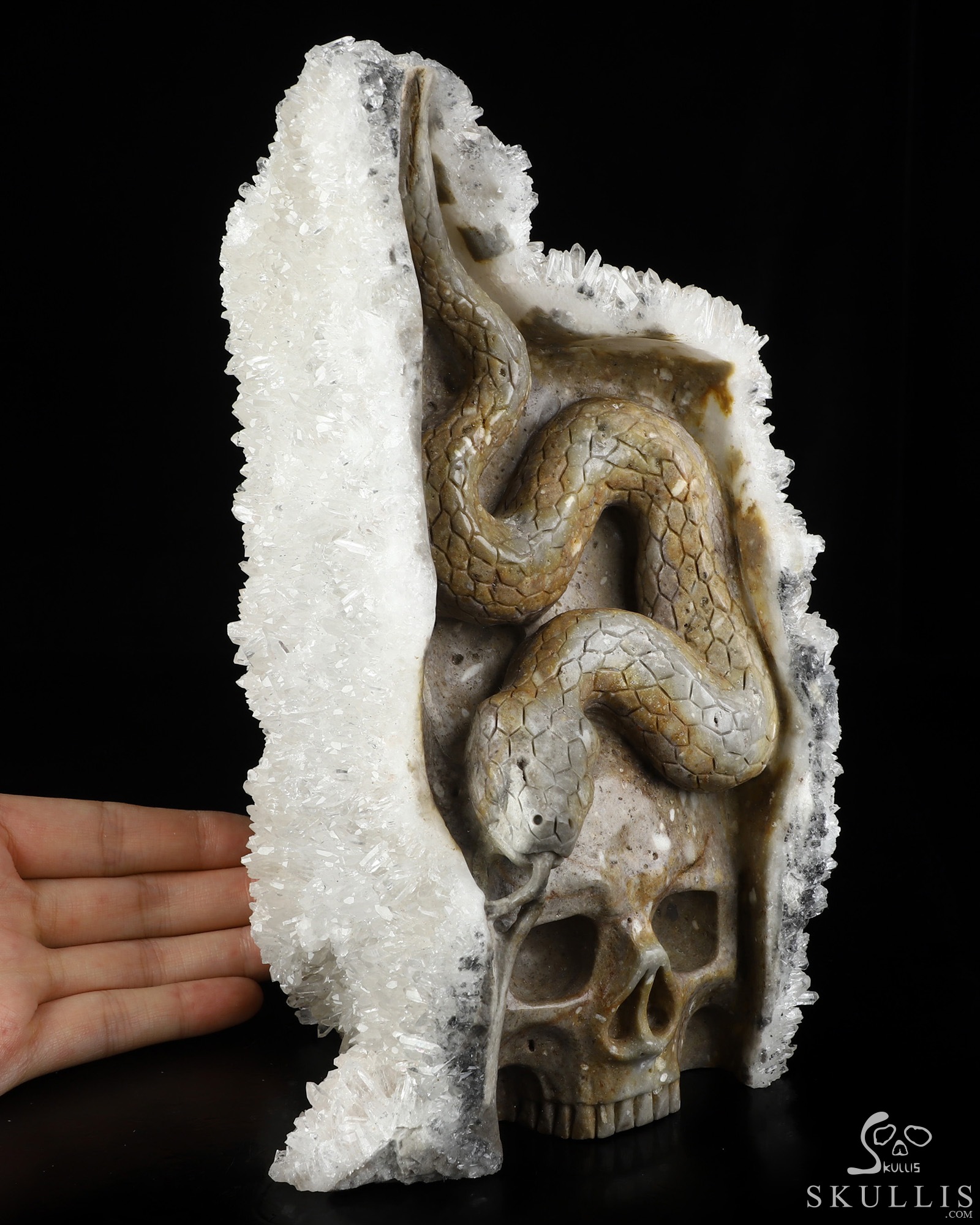 8.9" Quartz rock druse Hand Carved Crystal Skull with Snake Fine Art Sculpture, Crystal Healing 8.9" Quartz rock druse Hand Carved Crystal Skull with Snake Fine Art Sculpture, Crystal Healing