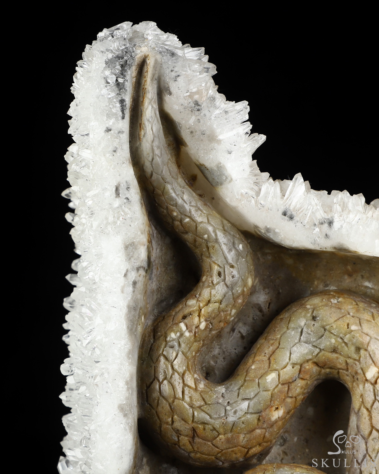 8.9" Quartz rock druse Hand Carved Crystal Skull with Snake Fine Art Sculpture, Crystal Healing 8.9" Quartz rock druse Hand Carved Crystal Skull with Snake Fine Art Sculpture, Crystal Healing