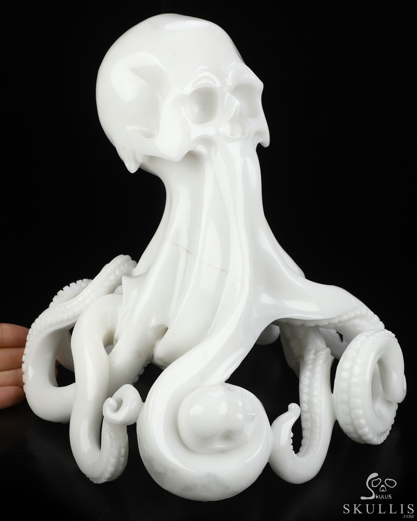 July 2, 2026 ACSAD (A Crystal Skull a Day) - The Tidal Cradle - 8.4" White Jade Carved Nautiloid Cthulhu Crystal Skull Sculpture, Crystal Healing July 2, 2026 ACSAD (A Crystal Skull a Day) - The Tidal Cradle - 8.4" White Jade Carved Nautiloid Cthulhu Crystal Skull Sculpture, Crystal Healing