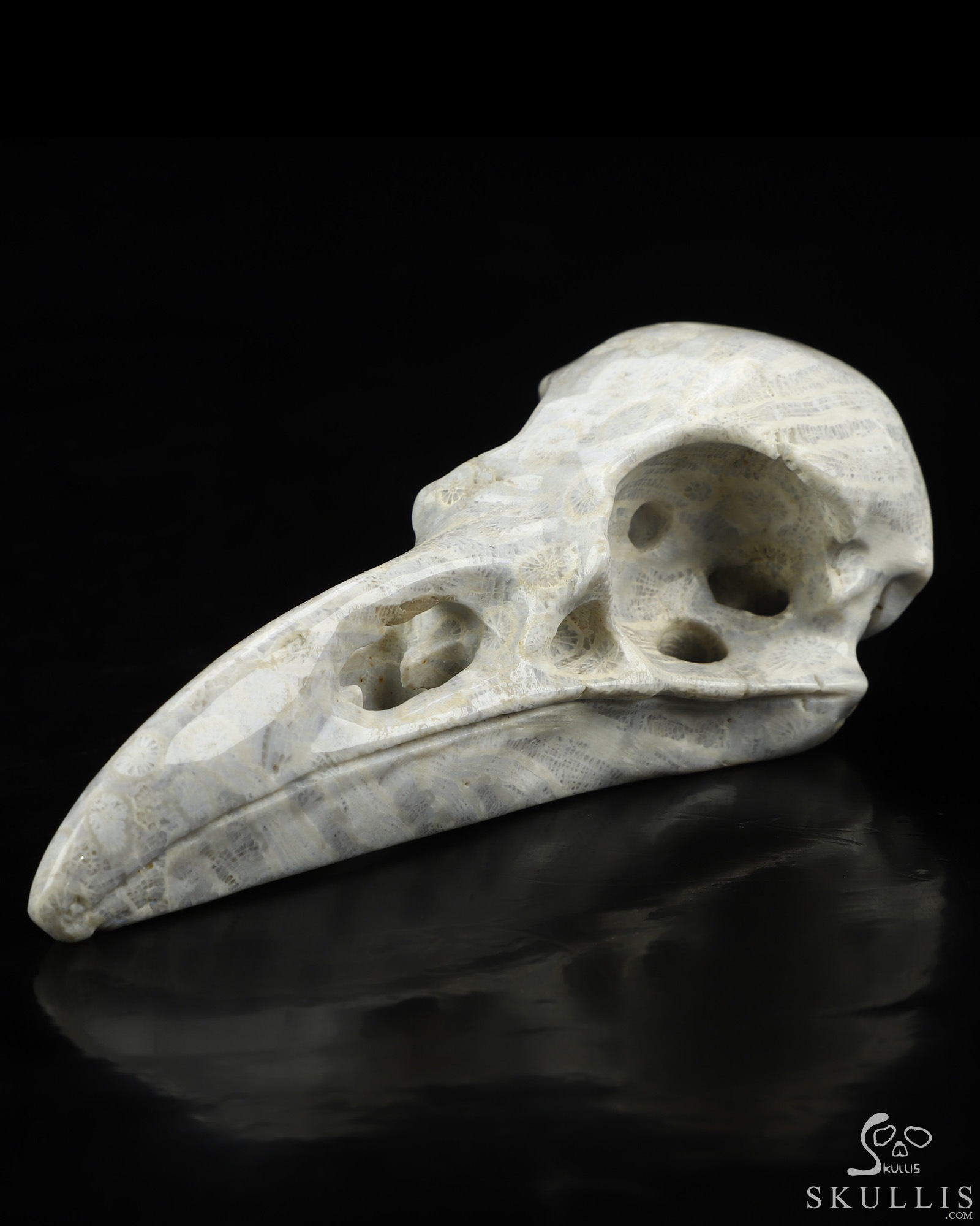 4.7" Coral Fossil Hand Carved Raven Crystal Skull Sculpture, Crystal Healing 4.7" Coral Fossil Hand Carved Raven Crystal Skull Sculpture, Crystal Healing