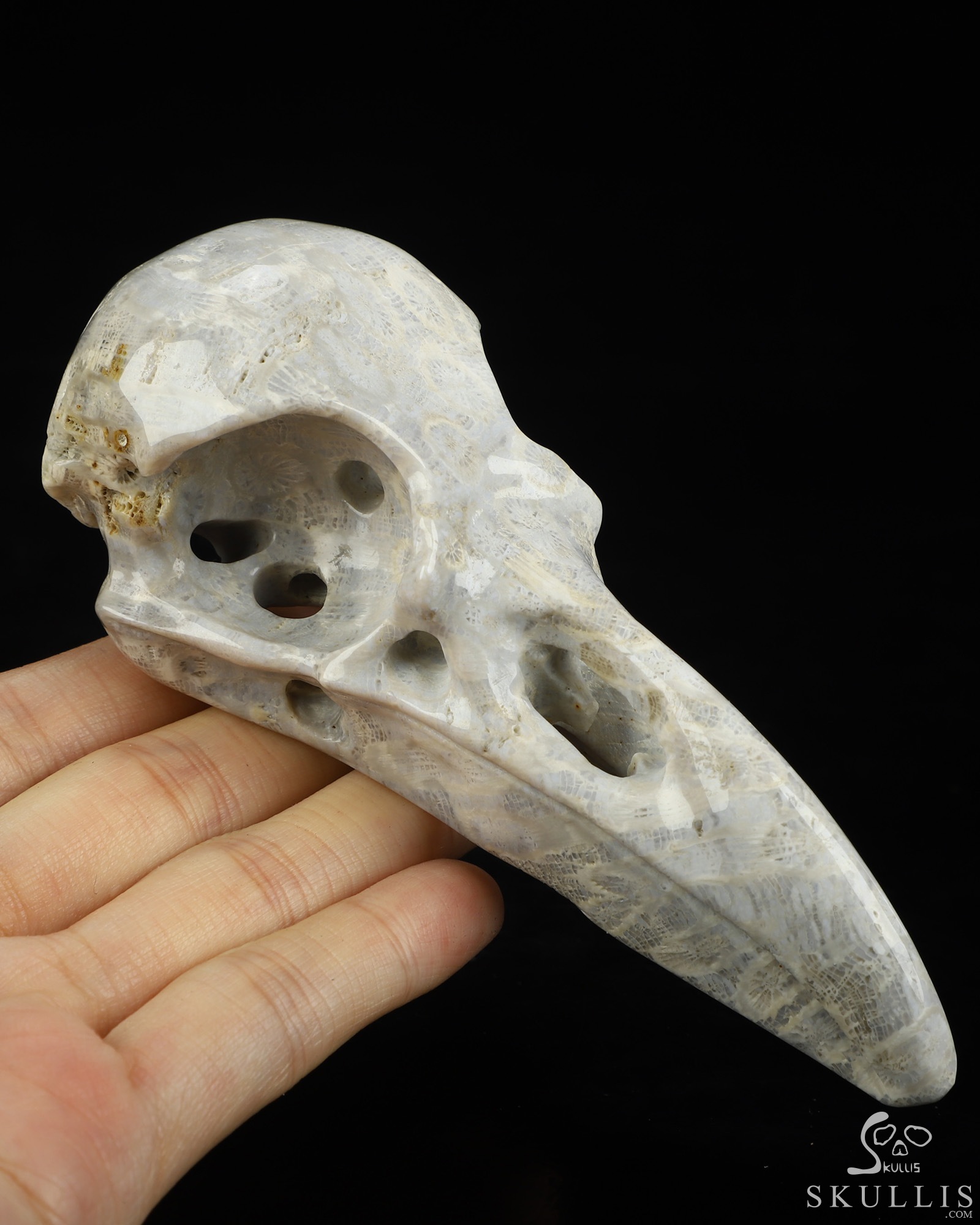 4.7" Coral Fossil Hand Carved Raven Crystal Skull Sculpture, Crystal Healing 4.7" Coral Fossil Hand Carved Raven Crystal Skull Sculpture, Crystal Healing