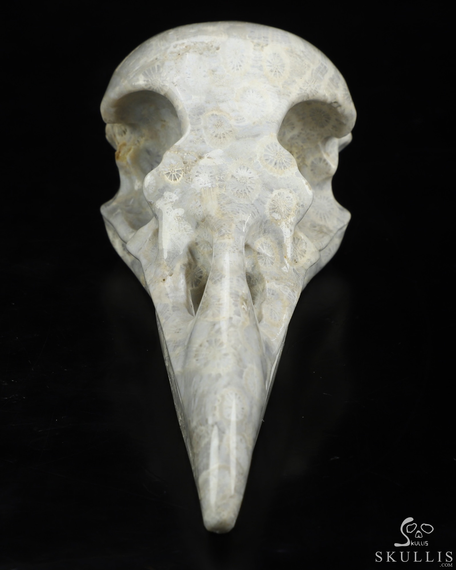 4.7" Coral Fossil Hand Carved Raven Crystal Skull Sculpture, Crystal Healing 4.7" Coral Fossil Hand Carved Raven Crystal Skull Sculpture, Crystal Healing