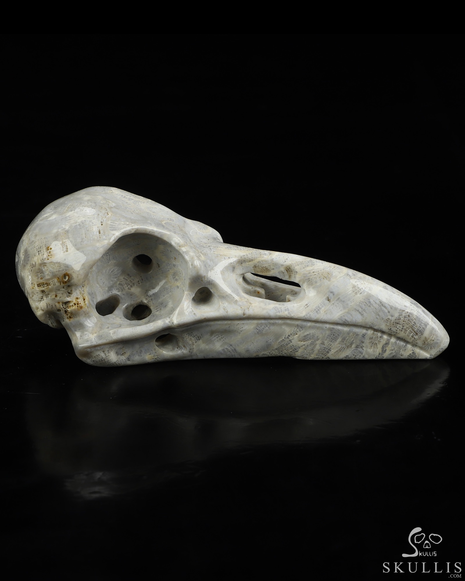 4.7" Coral Fossil Hand Carved Raven Crystal Skull Sculpture, Crystal Healing 4.7" Coral Fossil Hand Carved Raven Crystal Skull Sculpture, Crystal Healing