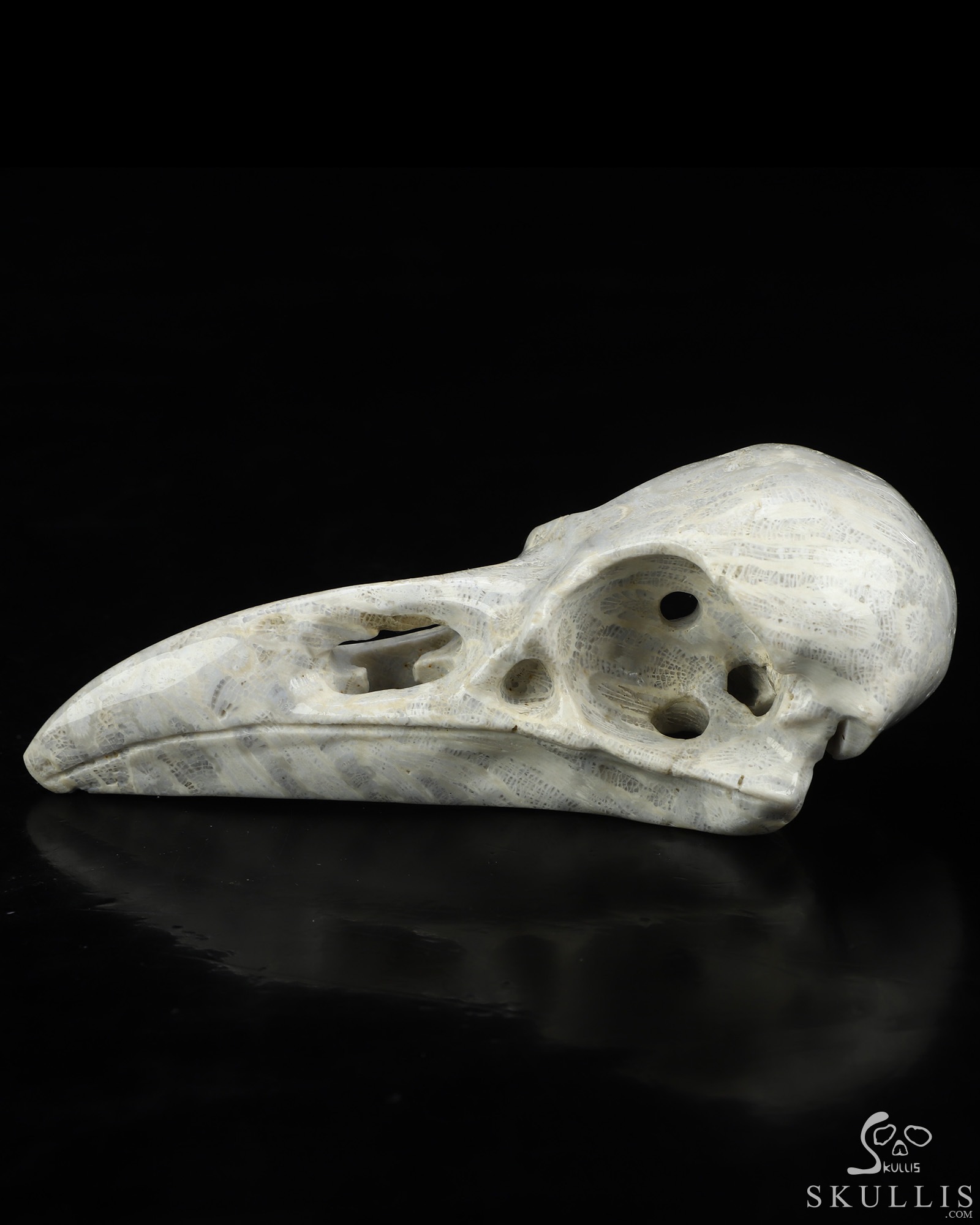 4.7" Coral Fossil Hand Carved Raven Crystal Skull Sculpture, Crystal Healing 4.7" Coral Fossil Hand Carved Raven Crystal Skull Sculpture, Crystal Healing