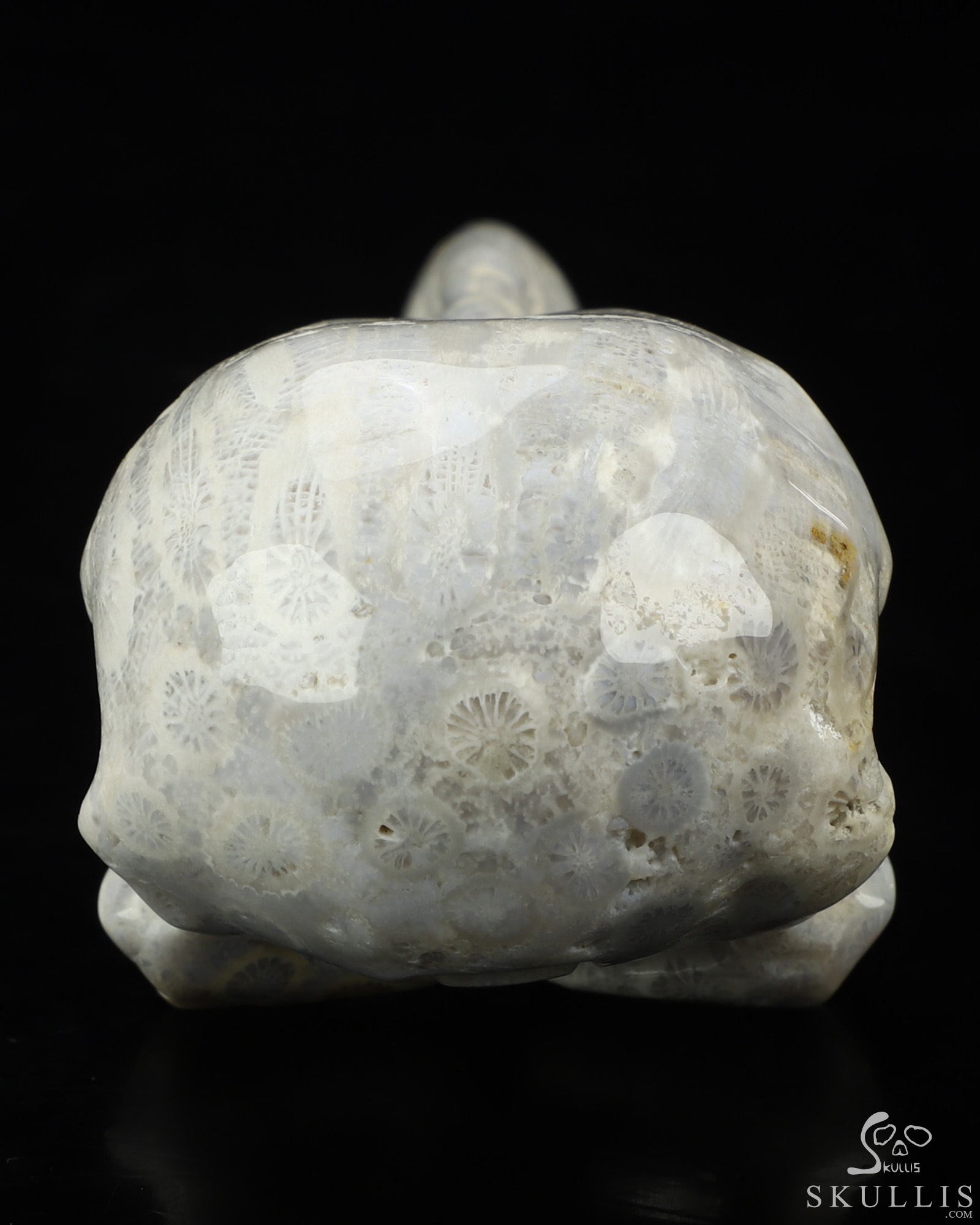 4.7" Coral Fossil Hand Carved Raven Crystal Skull Sculpture, Crystal Healing 4.7" Coral Fossil Hand Carved Raven Crystal Skull Sculpture, Crystal Healing