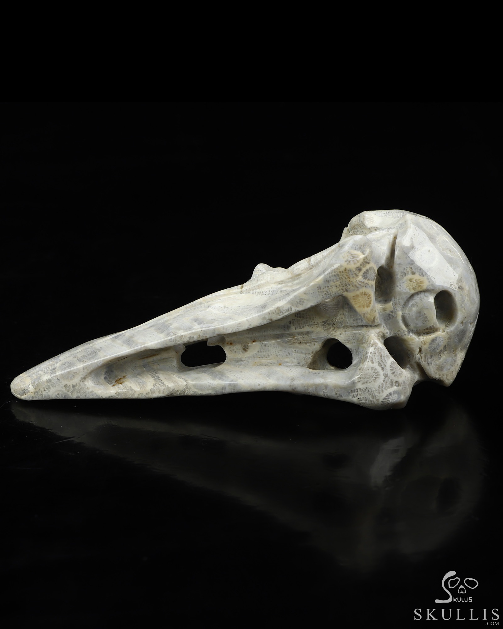 4.7" Coral Fossil Hand Carved Raven Crystal Skull Sculpture, Crystal Healing 4.7" Coral Fossil Hand Carved Raven Crystal Skull Sculpture, Crystal Healing