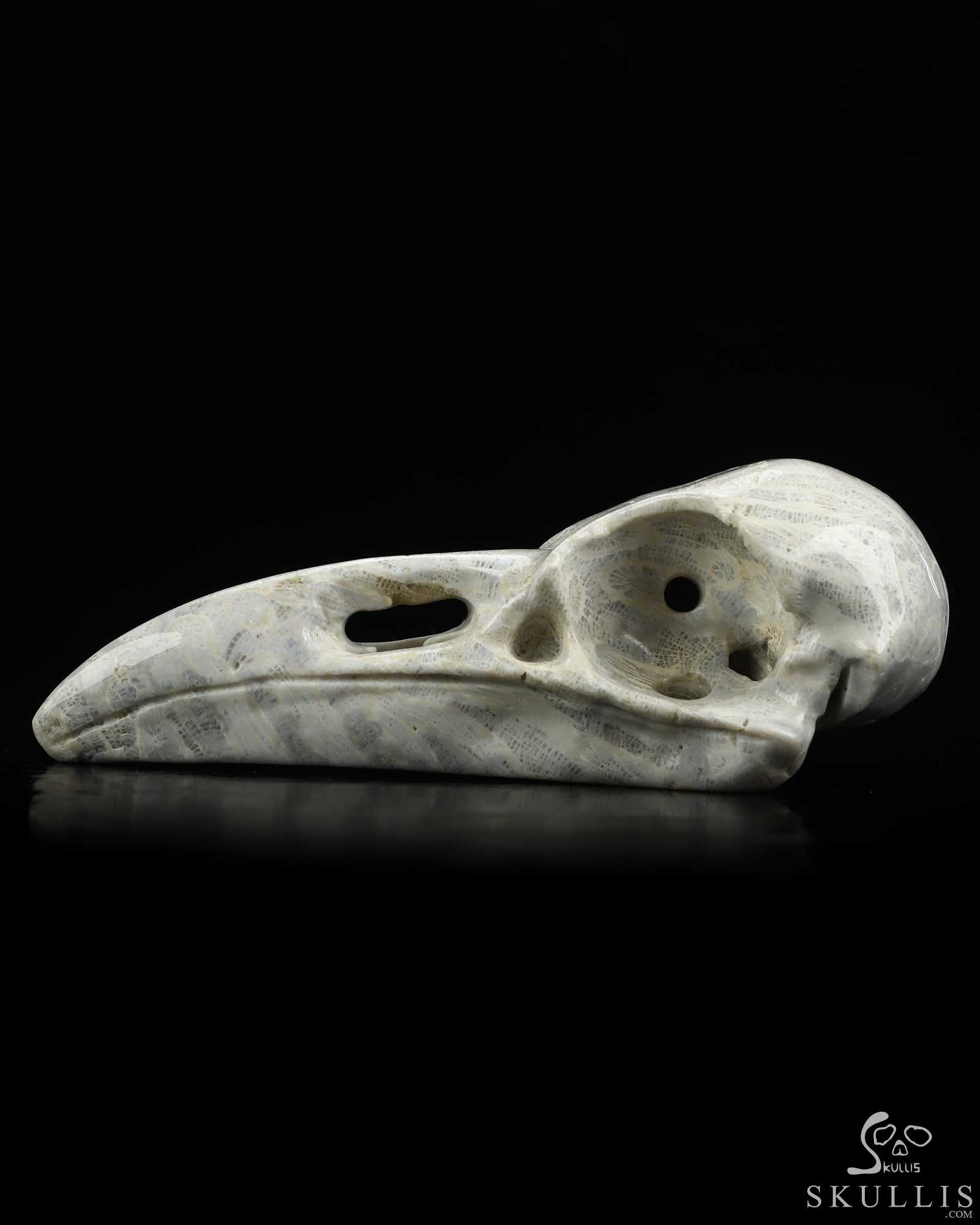 4.7" Coral Fossil Hand Carved Raven Crystal Skull Sculpture, Crystal Healing 4.7" Coral Fossil Hand Carved Raven Crystal Skull Sculpture, Crystal Healing