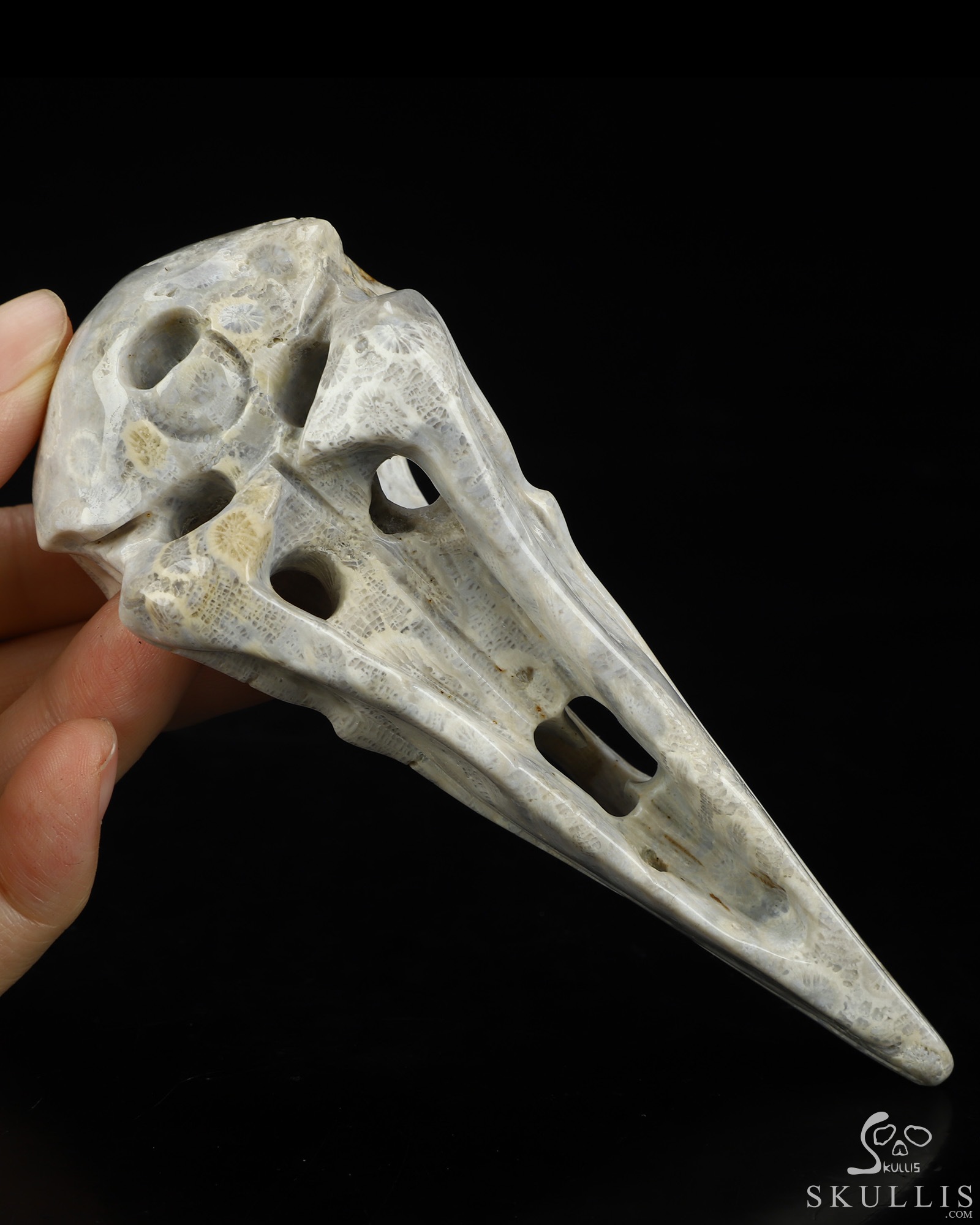 4.7" Coral Fossil Hand Carved Raven Crystal Skull Sculpture, Crystal Healing 4.7" Coral Fossil Hand Carved Raven Crystal Skull Sculpture, Crystal Healing