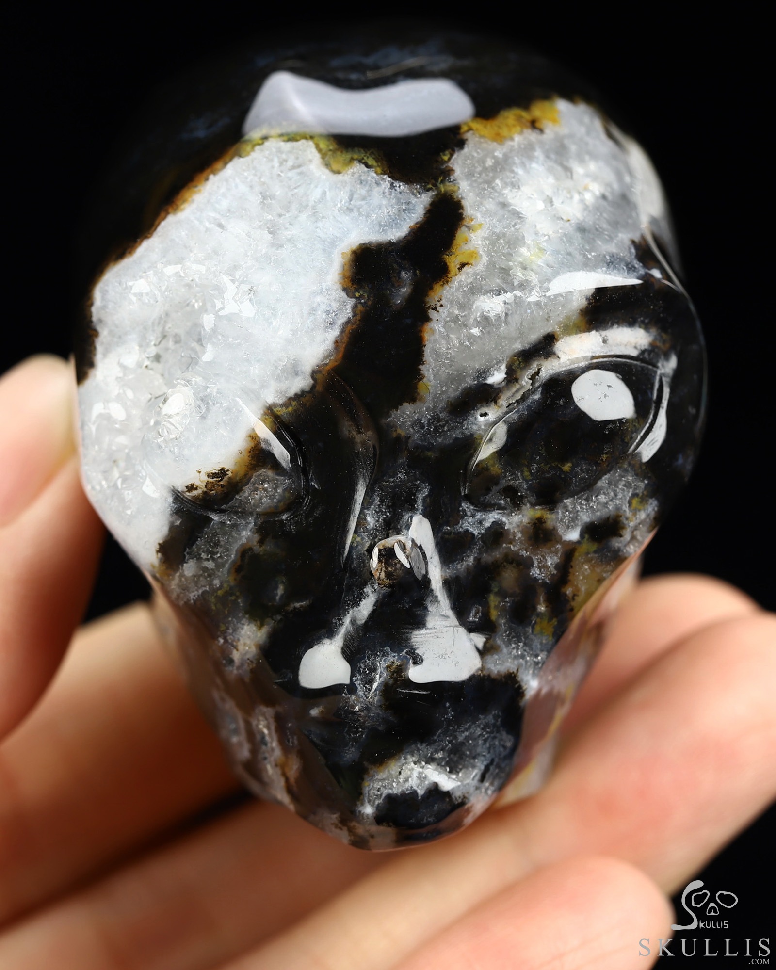 1.9" Black Zebra Agate Star Being Female Alien Crystal Skull Companion, Hand Carved Gemstone Fine Art Sculpture, Reiki Healing Stone Statue 1.9" Black Zebra Agate Star Being Female Alien Crystal Skull Companion, Hand Carved Gemstone Fine Art Sculpture, Reiki Healing Stone Statue