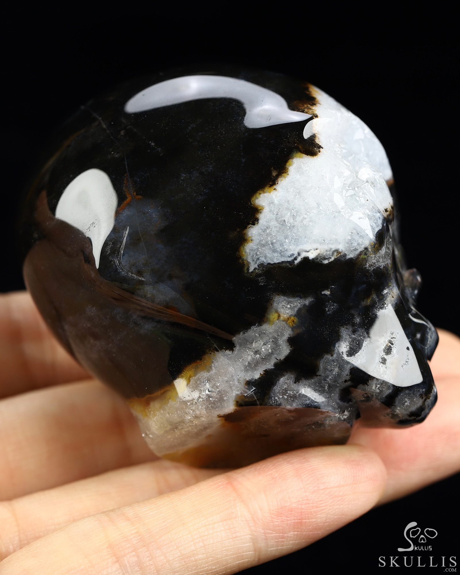 1.9" Black Zebra Agate Star Being Female Alien Crystal Skull Companion, Hand Carved Gemstone Fine Art Sculpture, Reiki Healing Stone Statue 1.9" Black Zebra Agate Star Being Female Alien Crystal Skull Companion, Hand Carved Gemstone Fine Art Sculpture, Reiki Healing Stone Statue